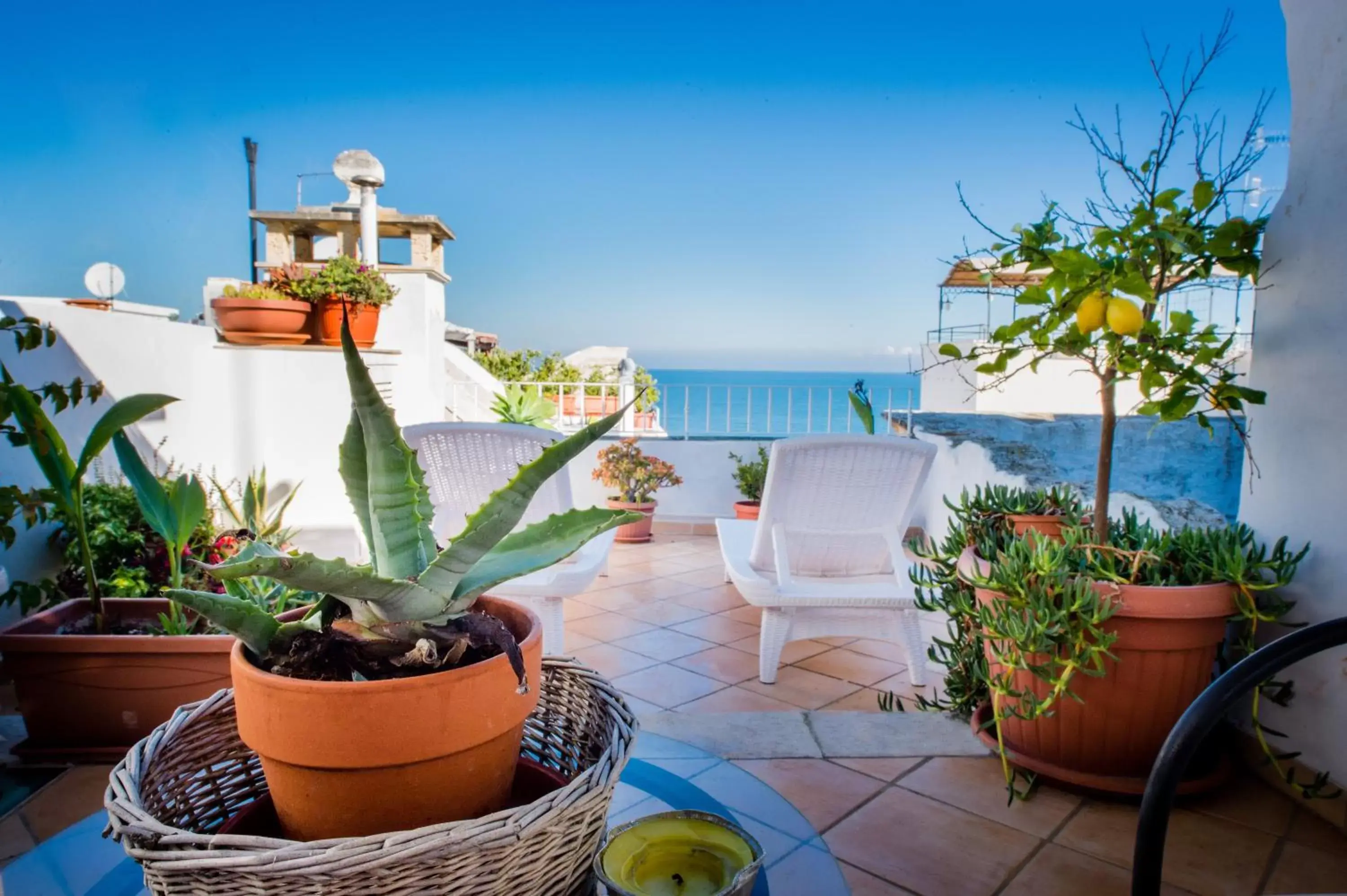 Balcony/Terrace in B&B Casa Dorsi