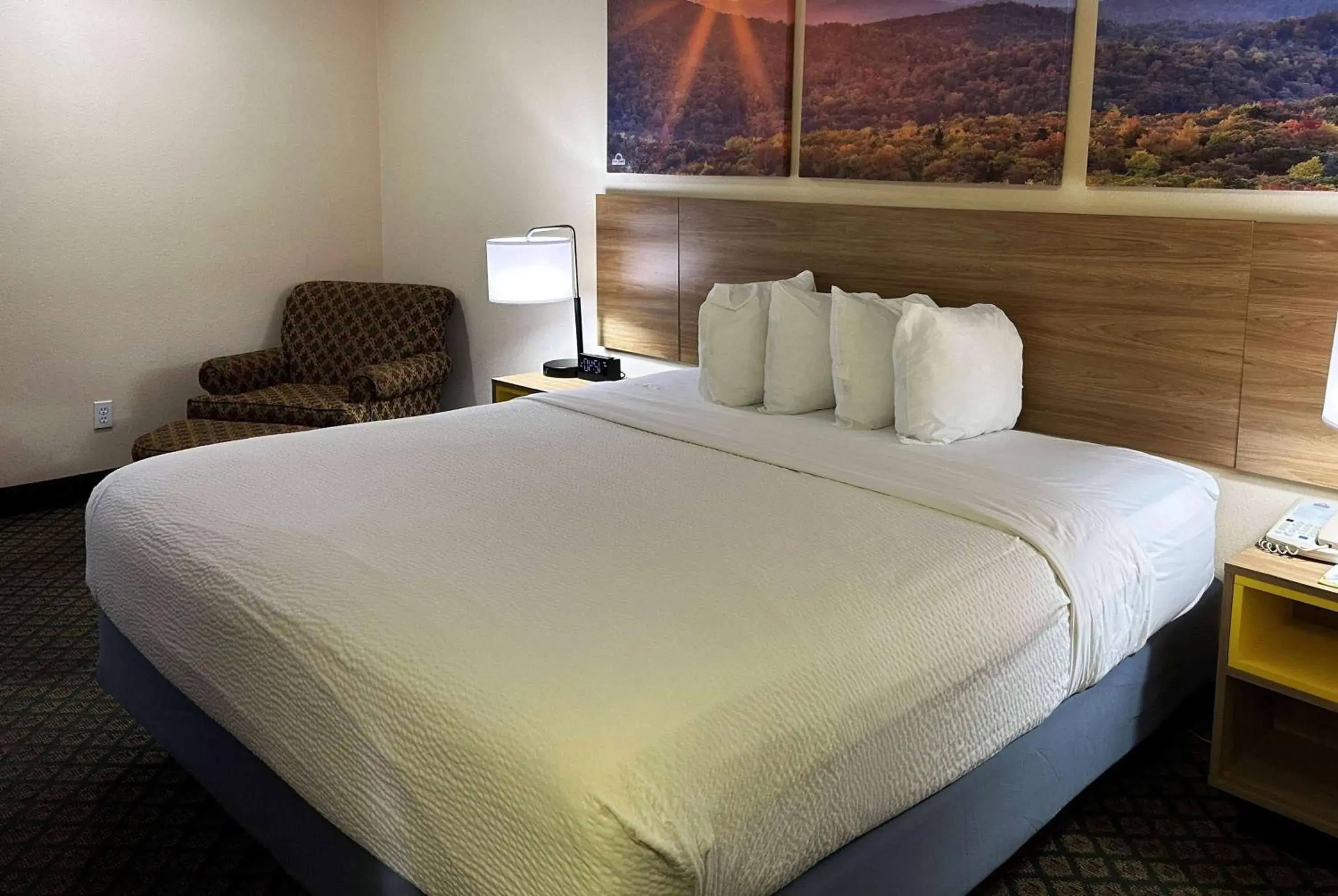 Photo of the whole room, Bed in Days Inn & Suites by Wyndham Eunice