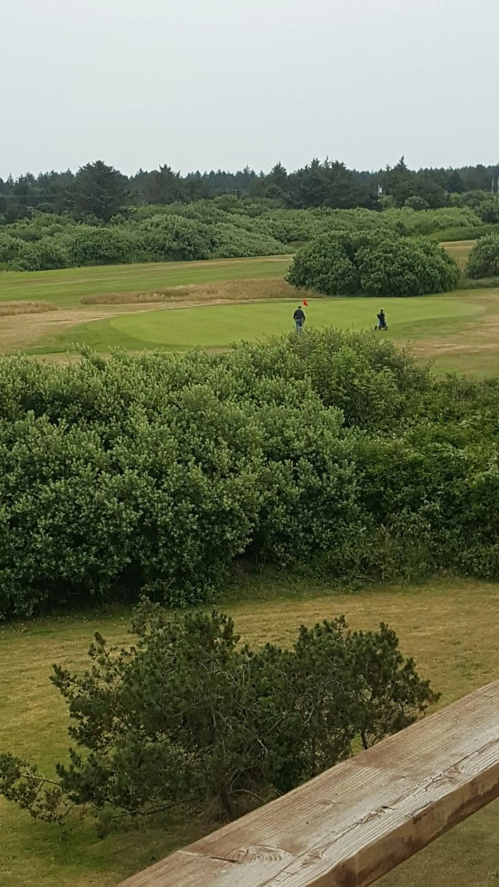 Golfcourse in Ocean Shores Inn & Suites