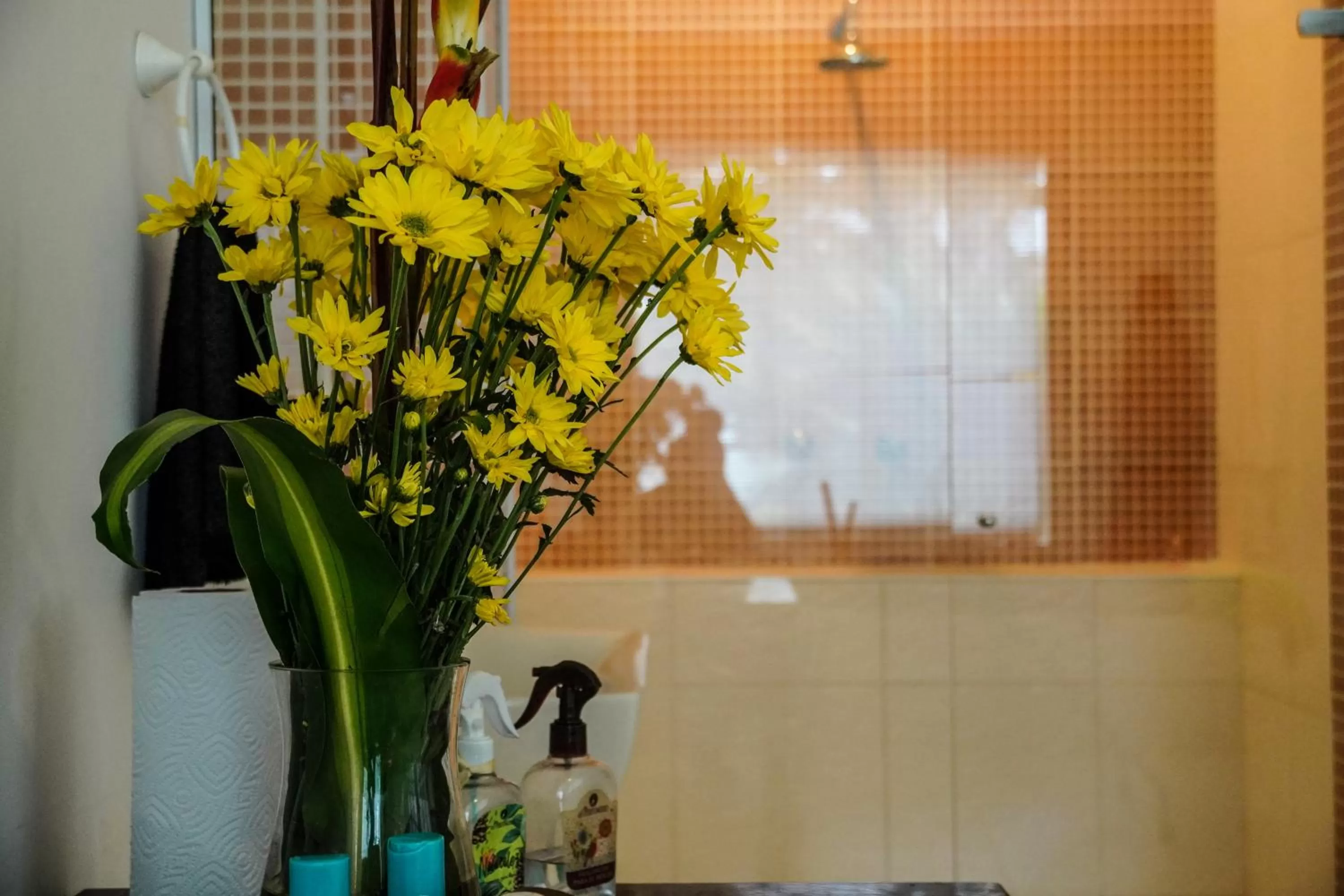 Hotel Boutique Villa Casuarinas