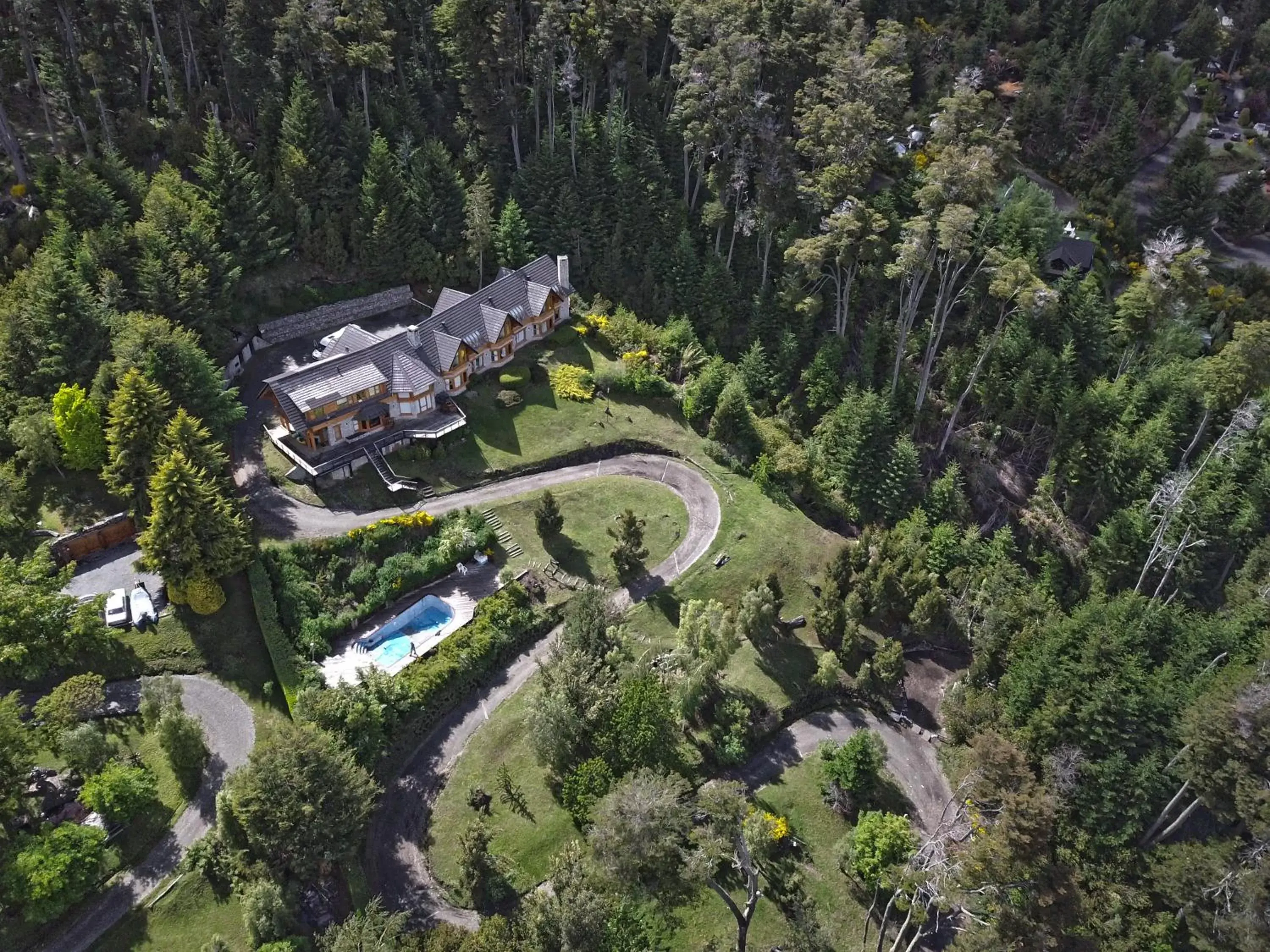 Bird's eye view, Bird's-eye View in Amigos del Bosque Bird's eye view, Bird's-eye View in Amigos del Bosque