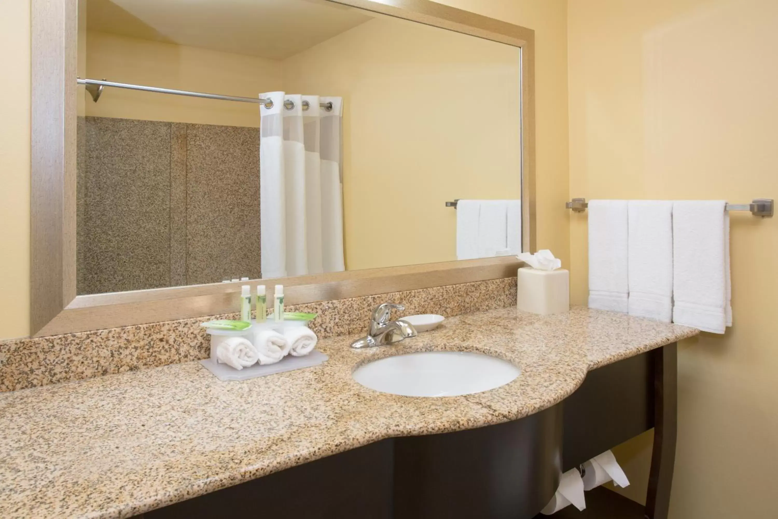 Bathroom in Holiday Inn Express & Suites Denver North - Thornton, an IHG Hotel