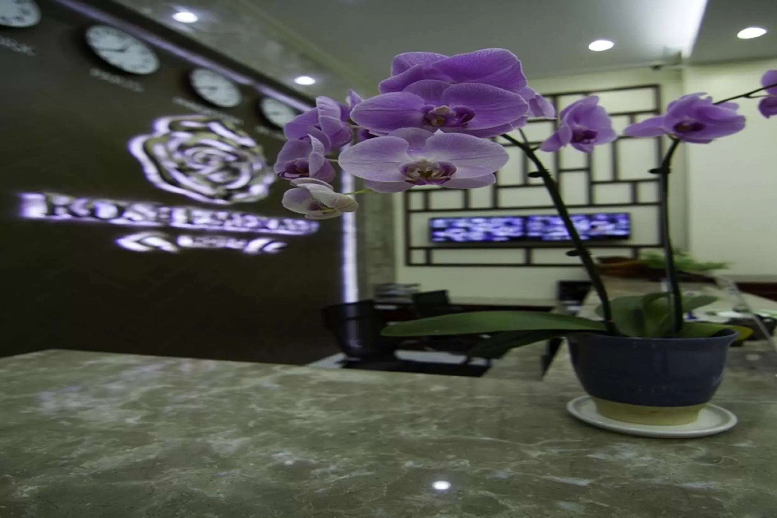 Lobby or reception in Rose Emerald Hotel