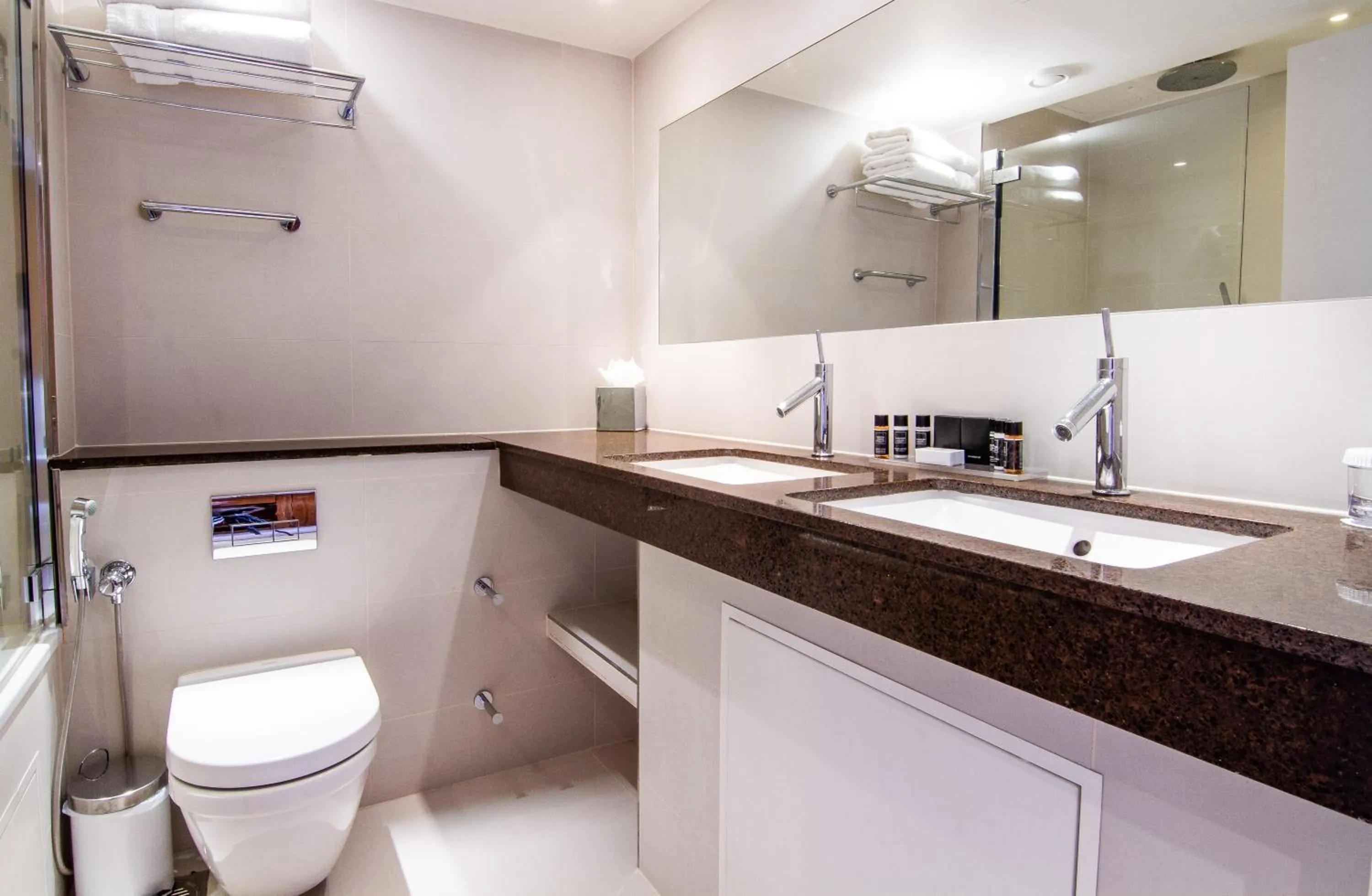 Toilet in Blakemore Hyde Park