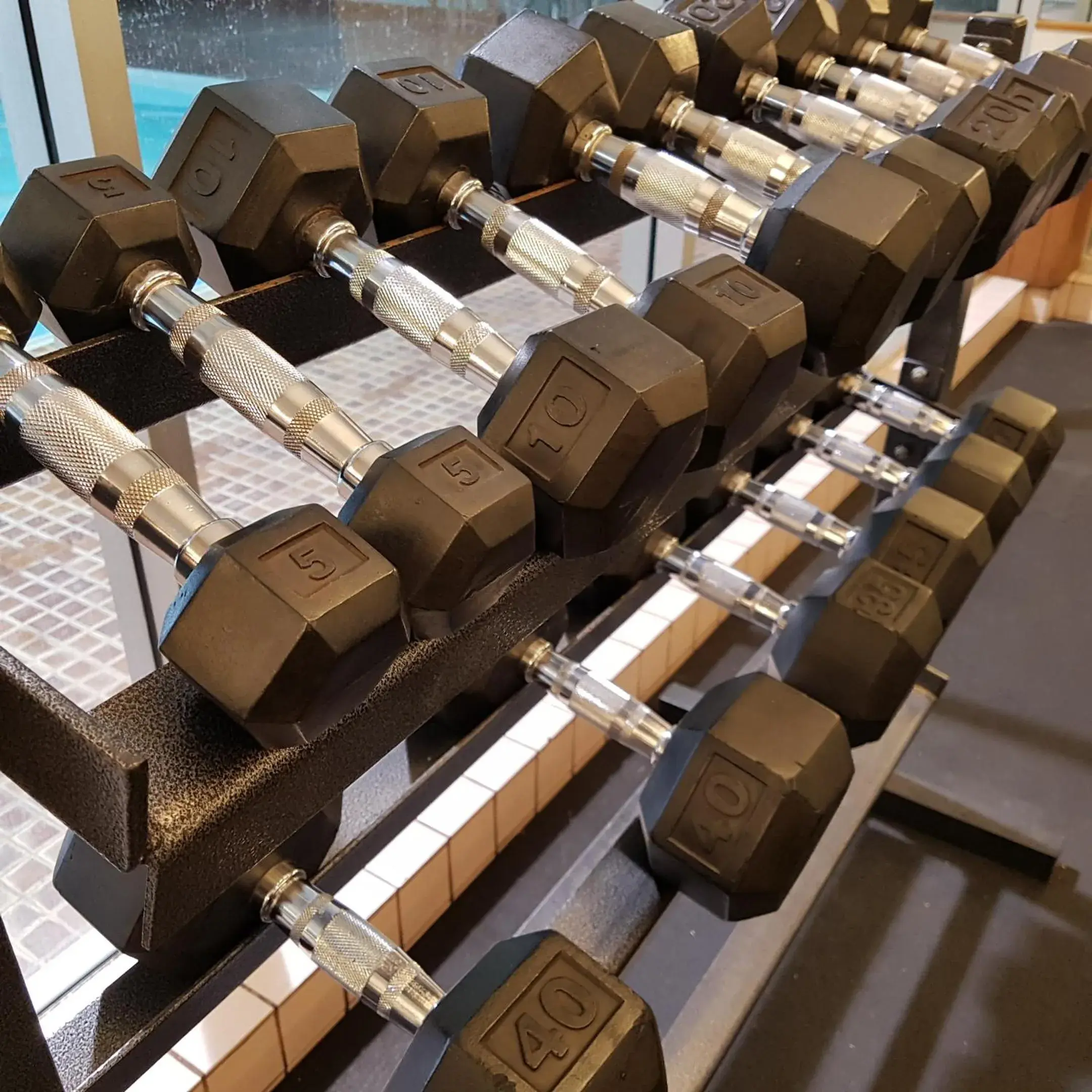 Activities, Fitness Center/Facilities in Ramada by Wyndham Thunder Bay Airlane Hotel