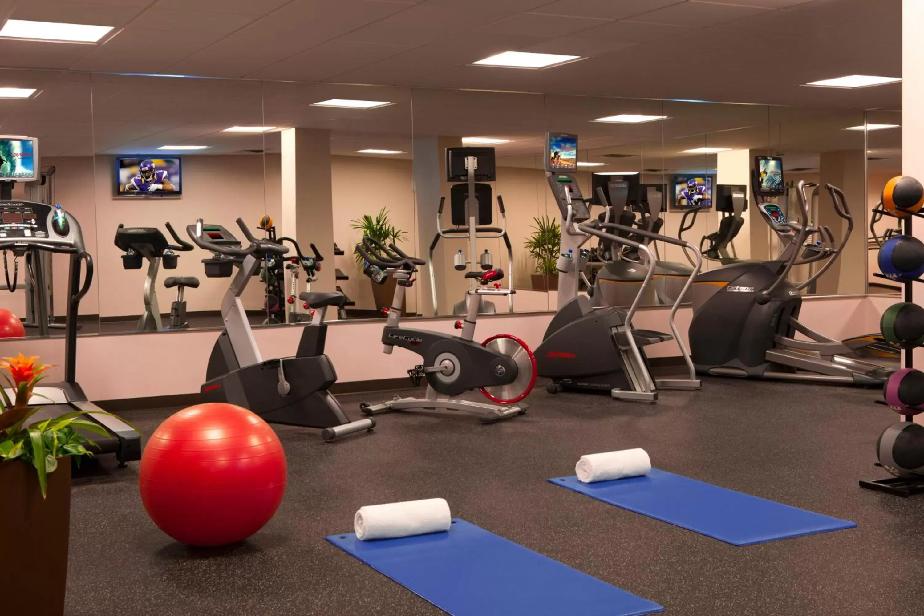 Fitness centre/facilities, Fitness Center/Facilities in Millennium Minneapolis