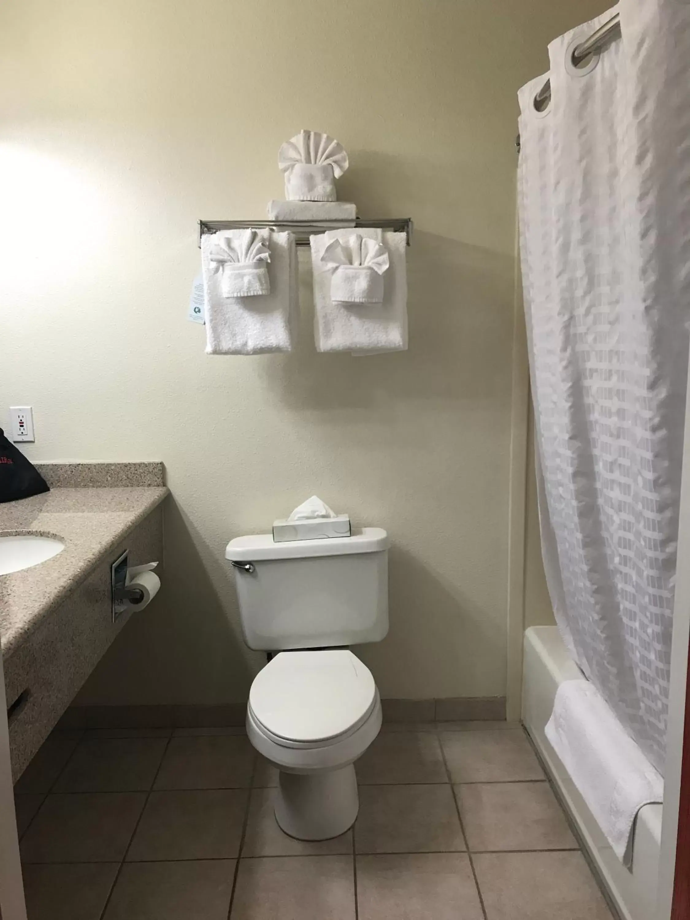 Toilet, Bathroom in Best Western Plus Villa Del Lago Inn