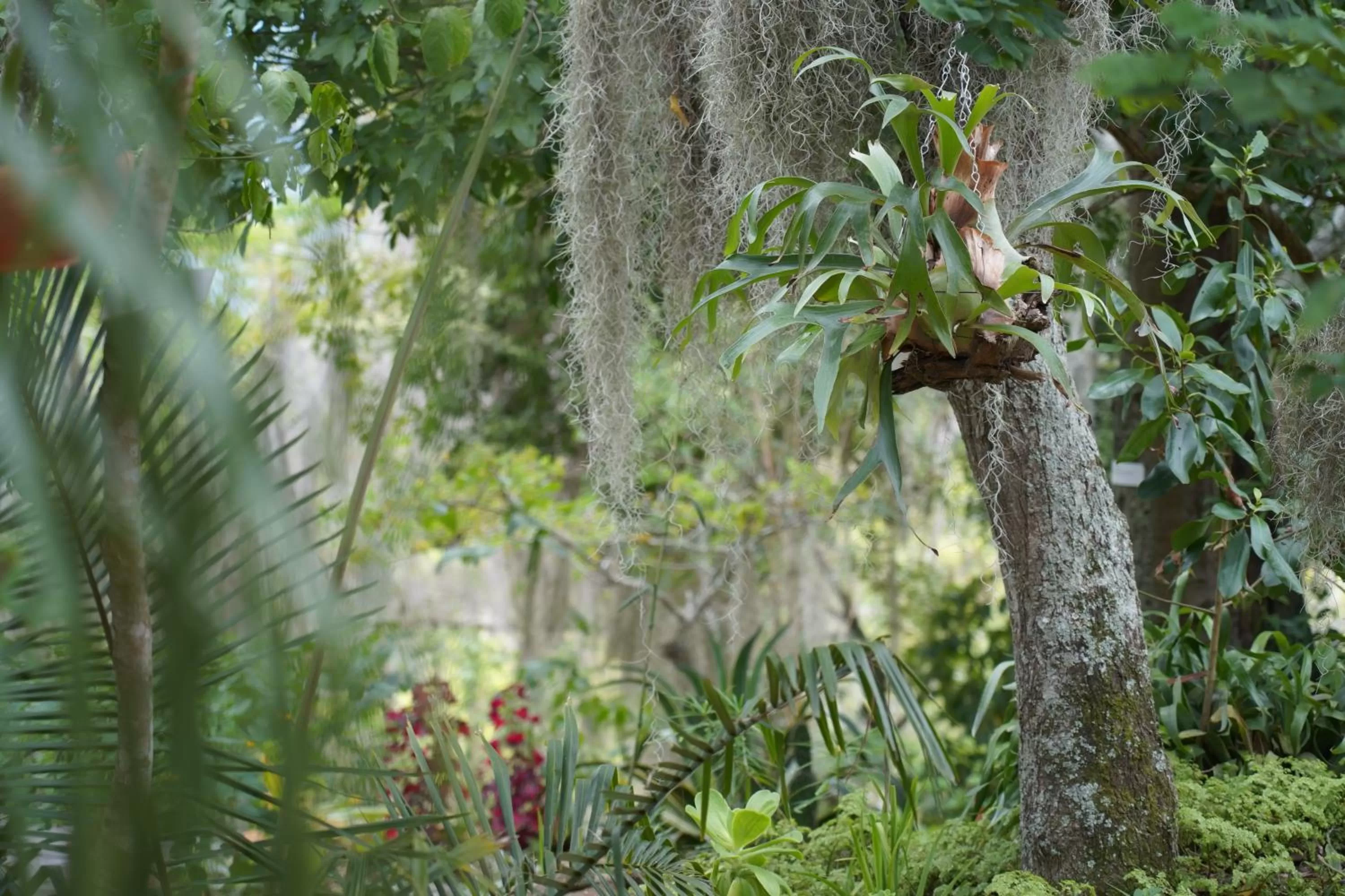 Natural landscape in El Paraiso - B&B Finca San Vicente