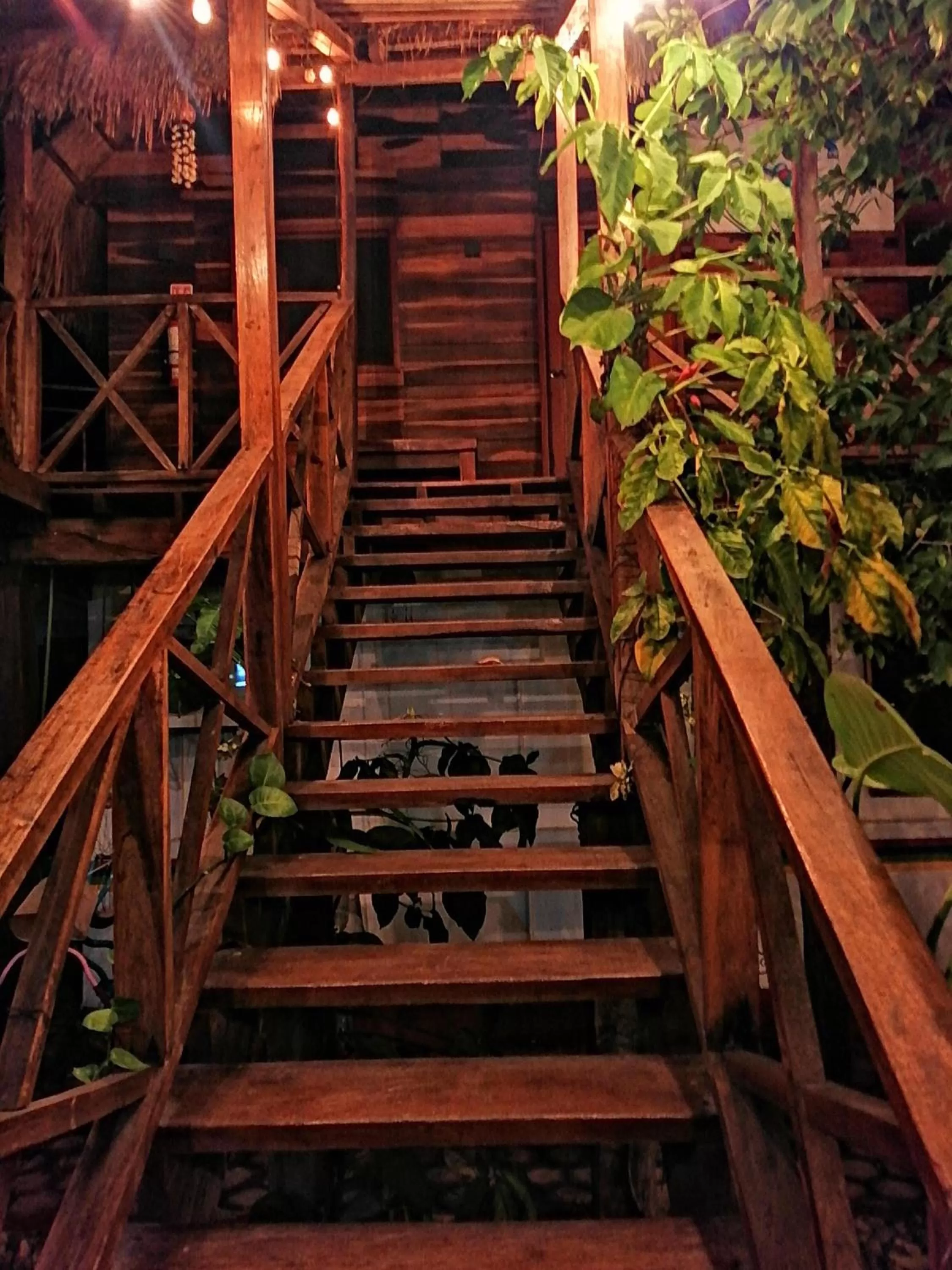 Facade/entrance in Cabañas Colibrí