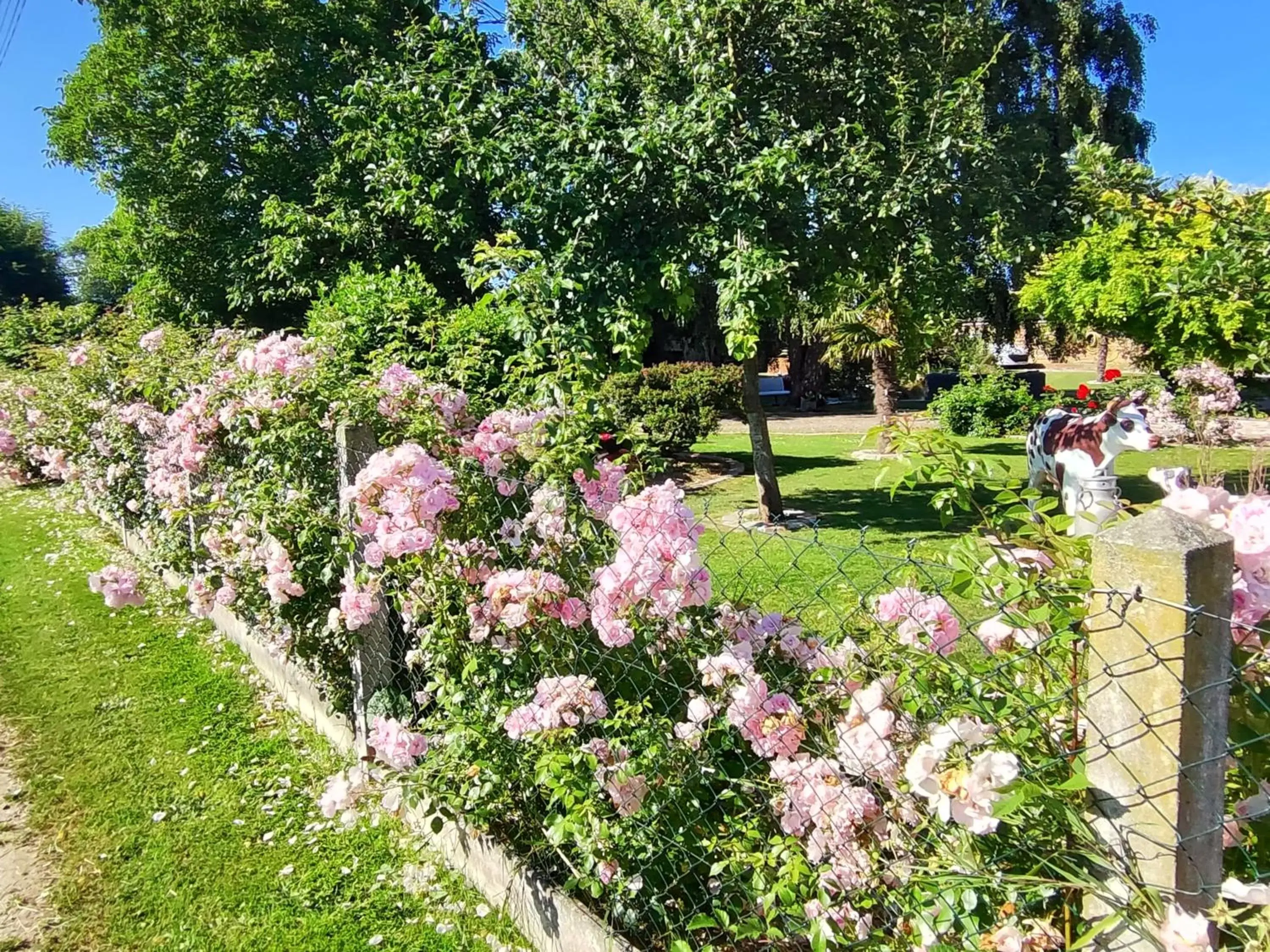 Garden in La Chaumière