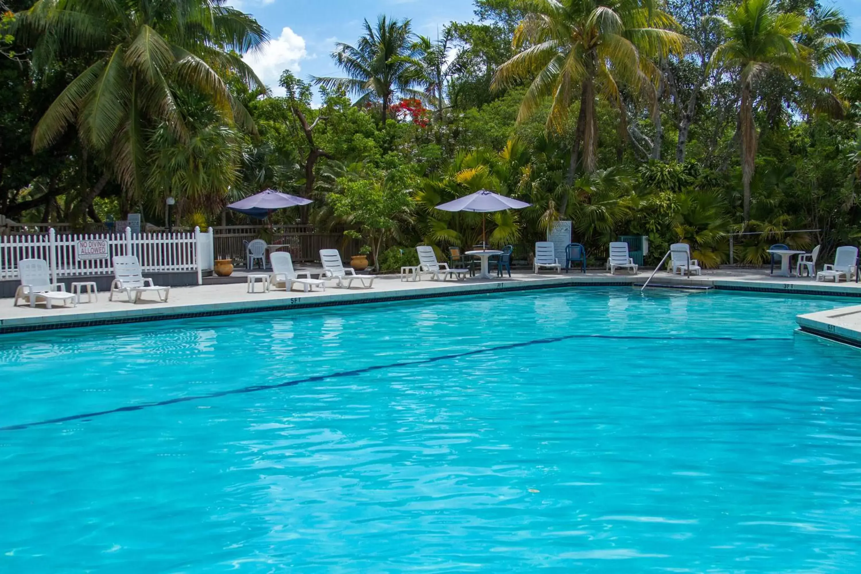 Swimming pool in Banana Bay Resort & Marina