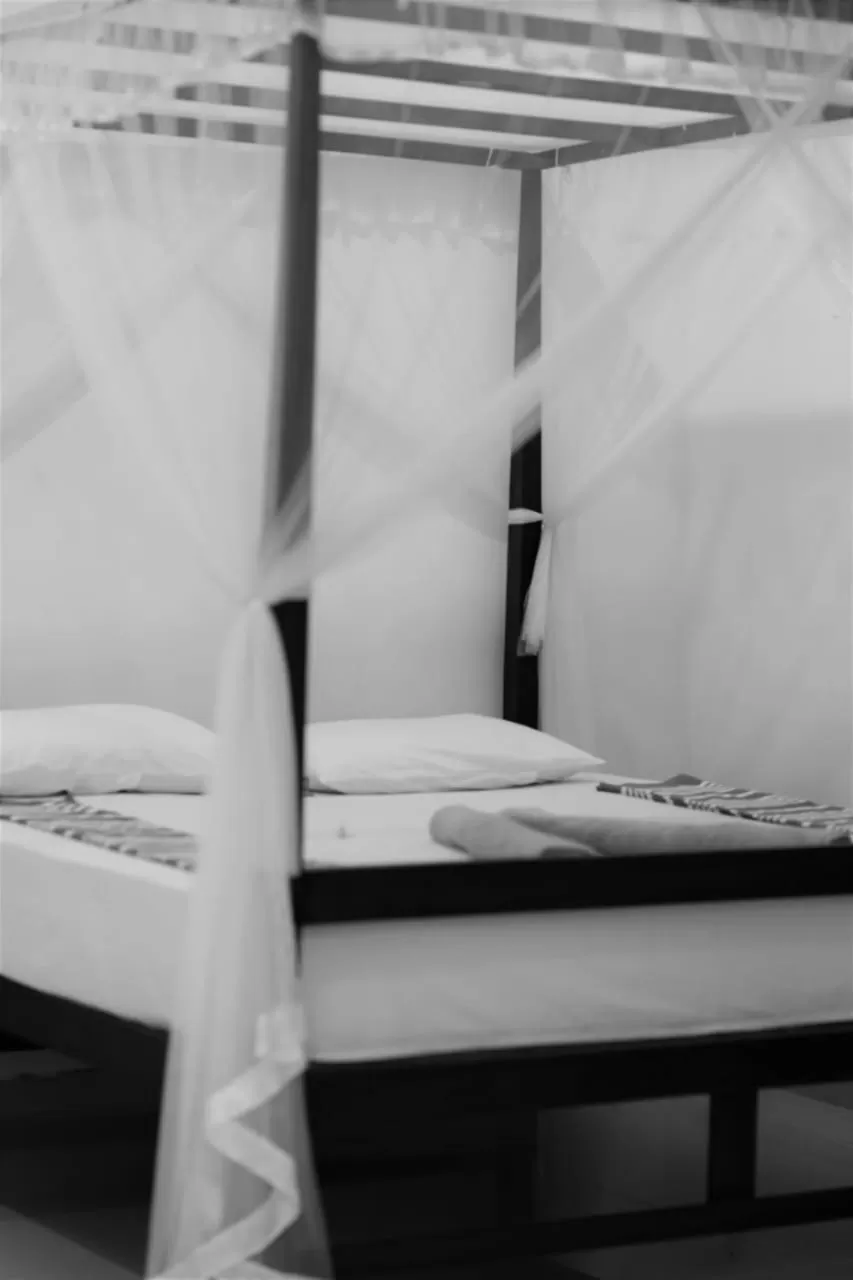 Bed in Panora Garden