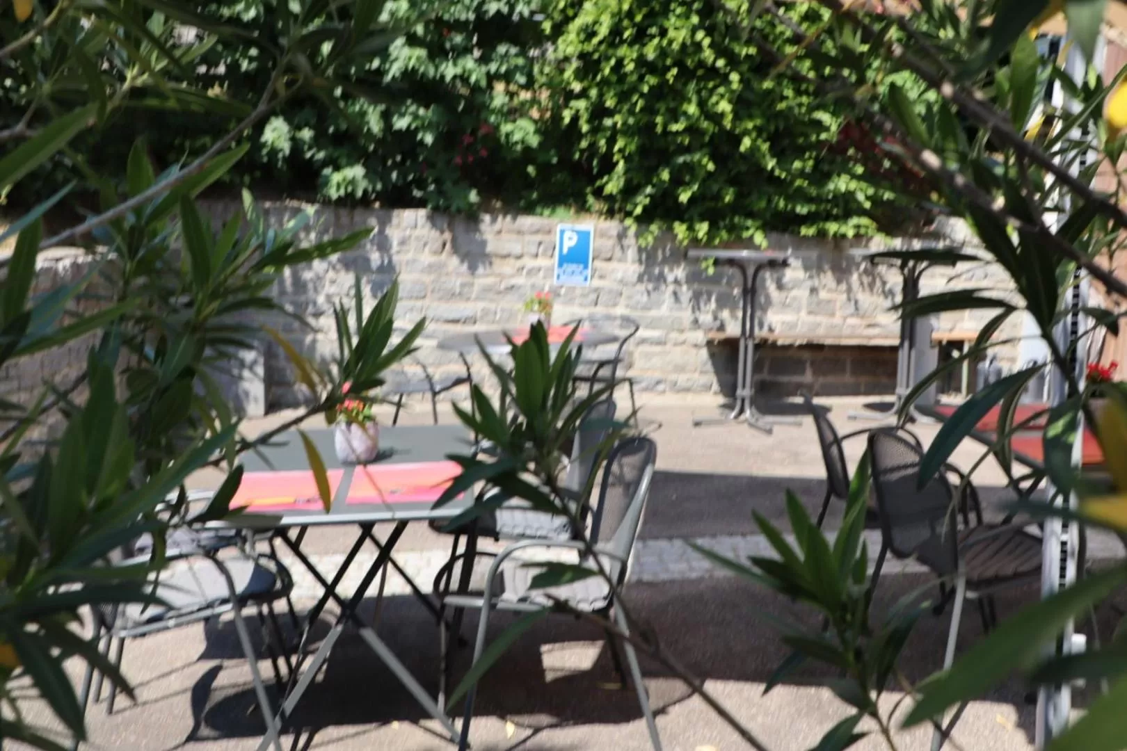 Garden in Hotel Holzscheiter