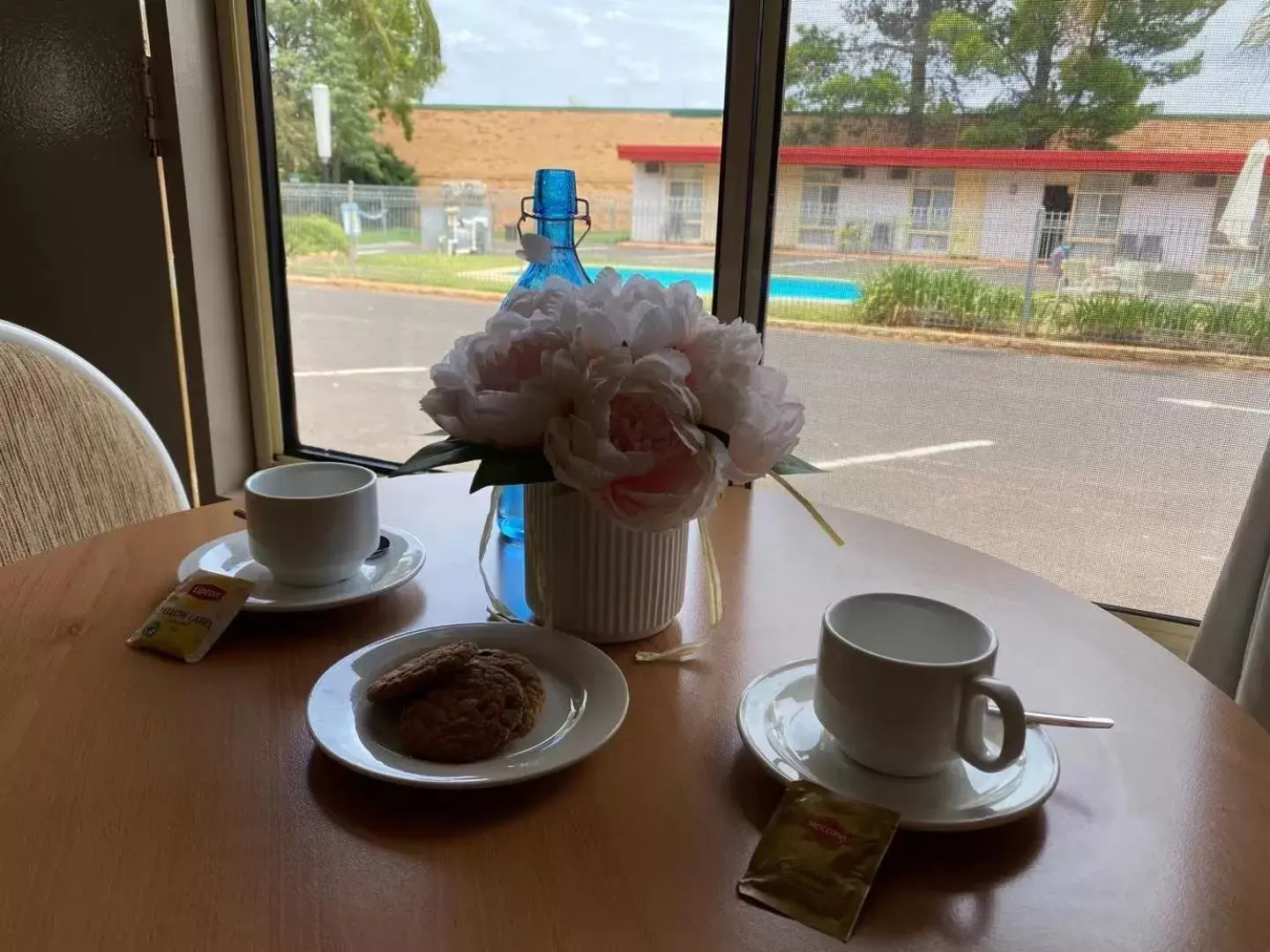 Garden view in Apollo Motel Parkes