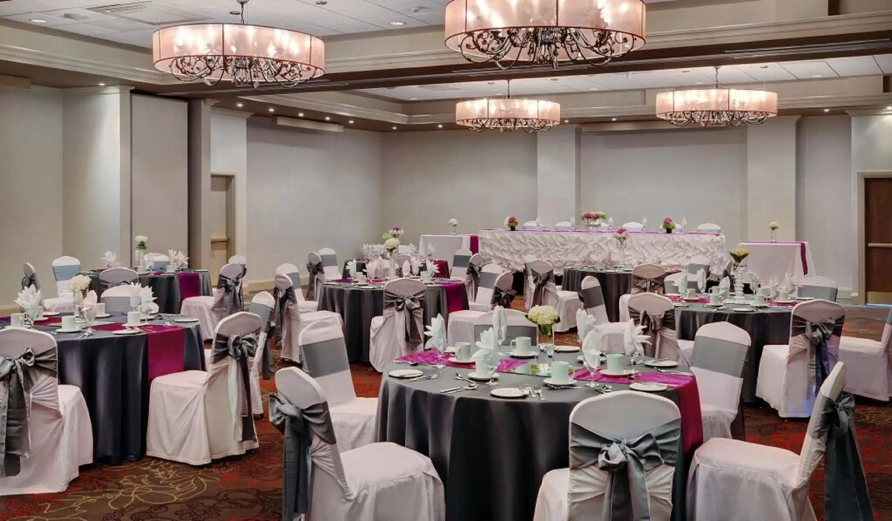 Banquet/Function facilities, Banquet Facilities in Holiday Inn & Suites Ottawa Kanata, an IHG Hotel