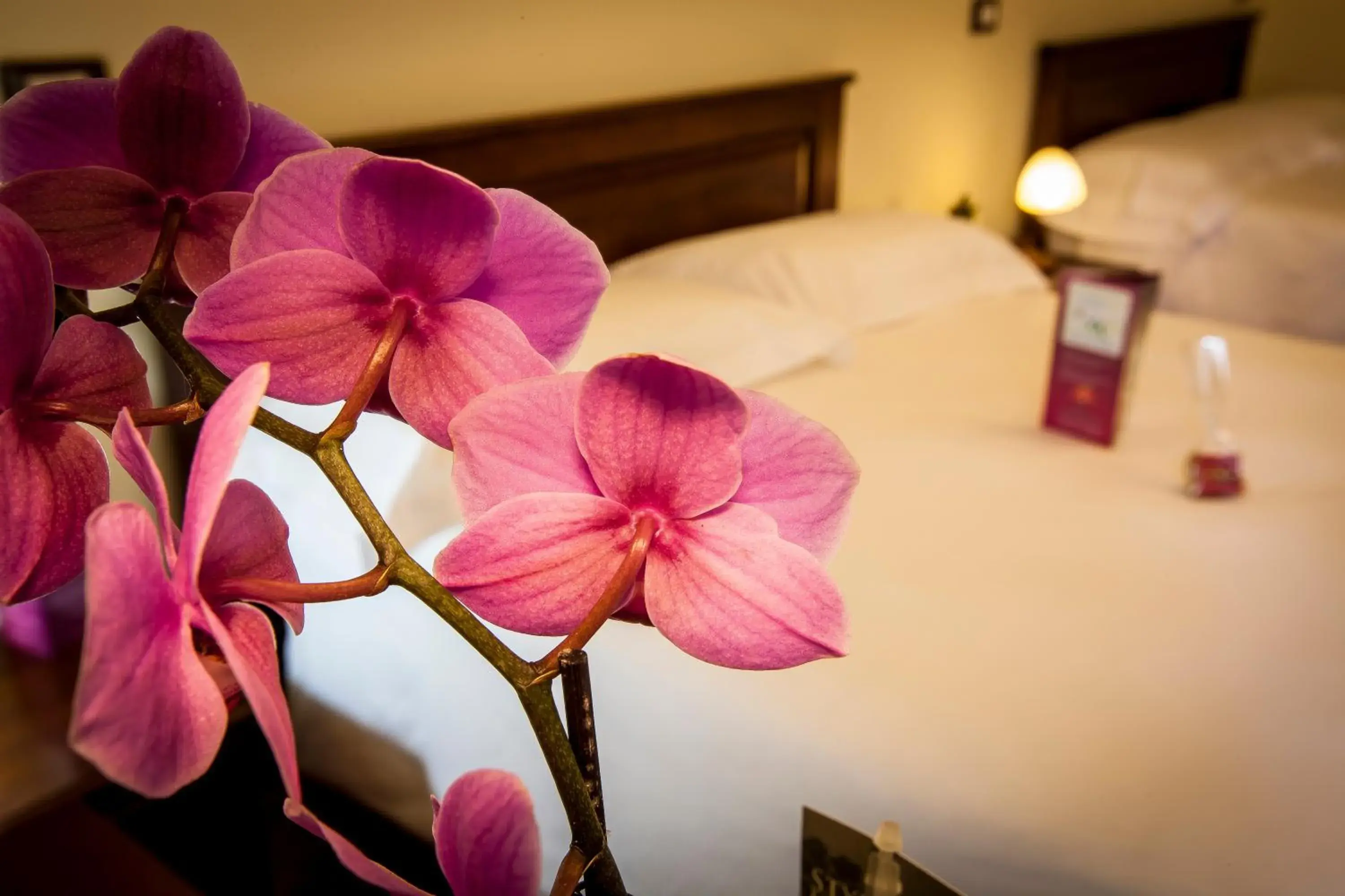 Decorative detail, Bed in Hotel Residenza Petra