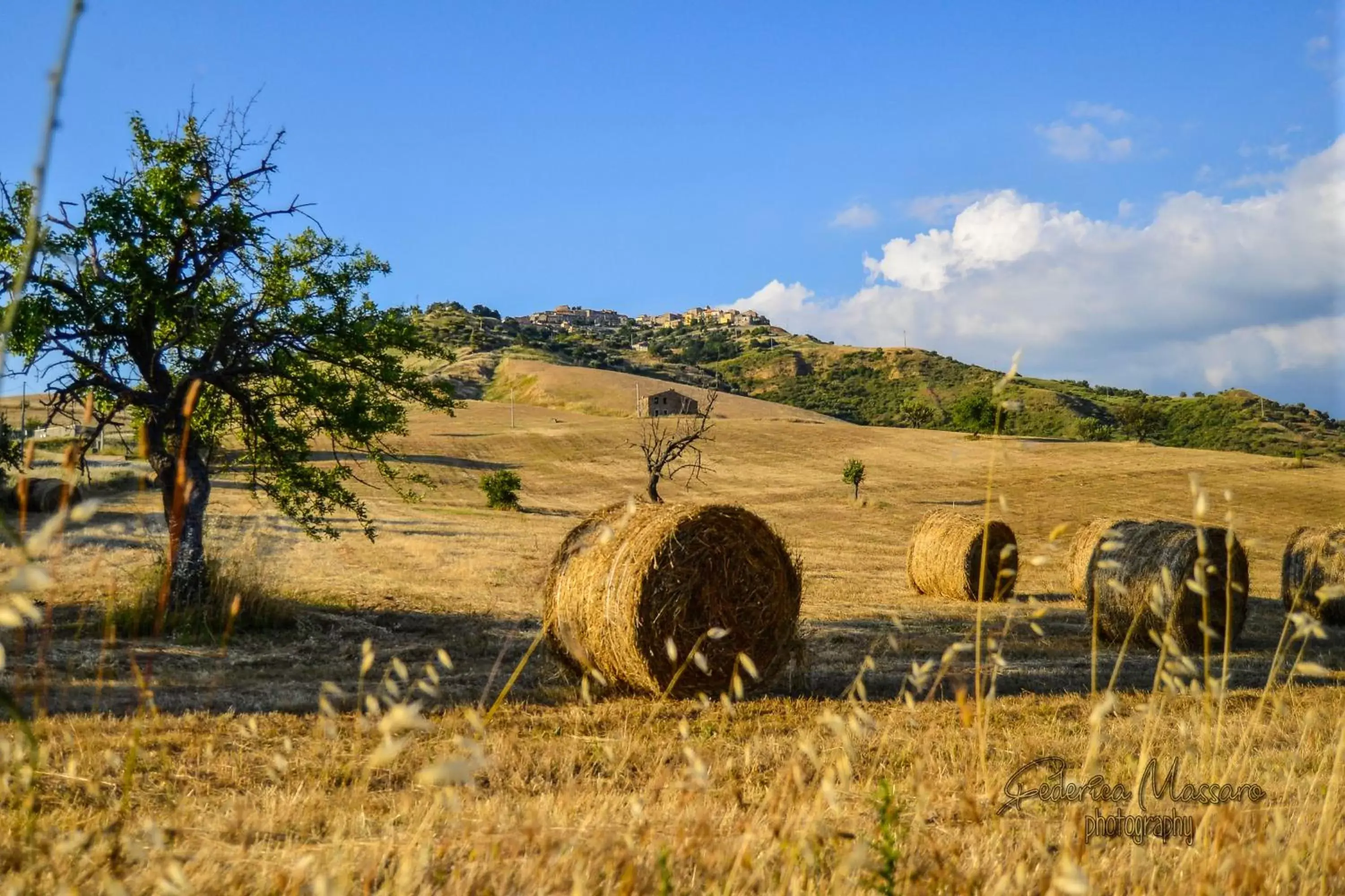 Natural Landscape in B&B Casa Magaldi