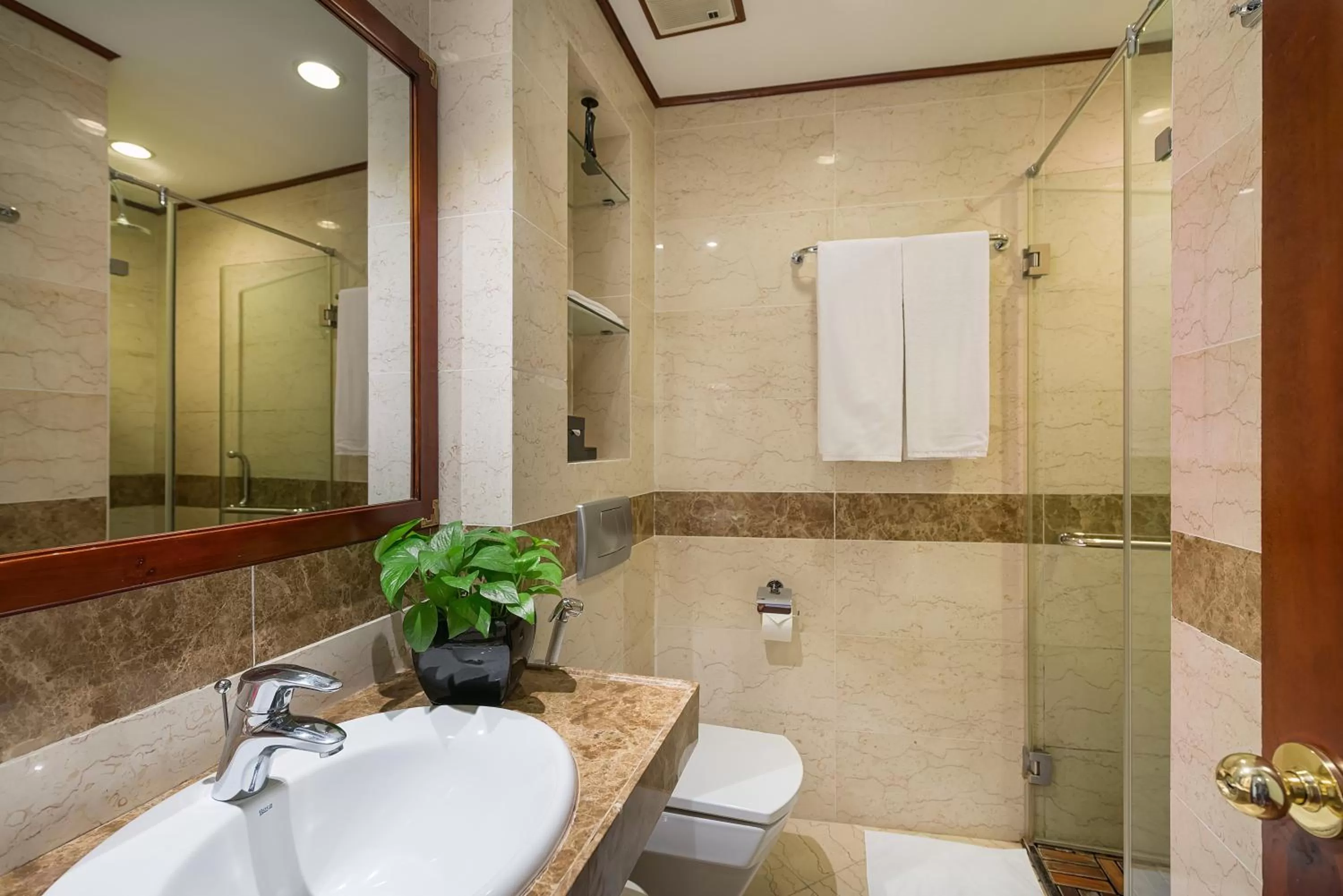 Shower in Hanoi E Central Luxury Hotel & Restaurant