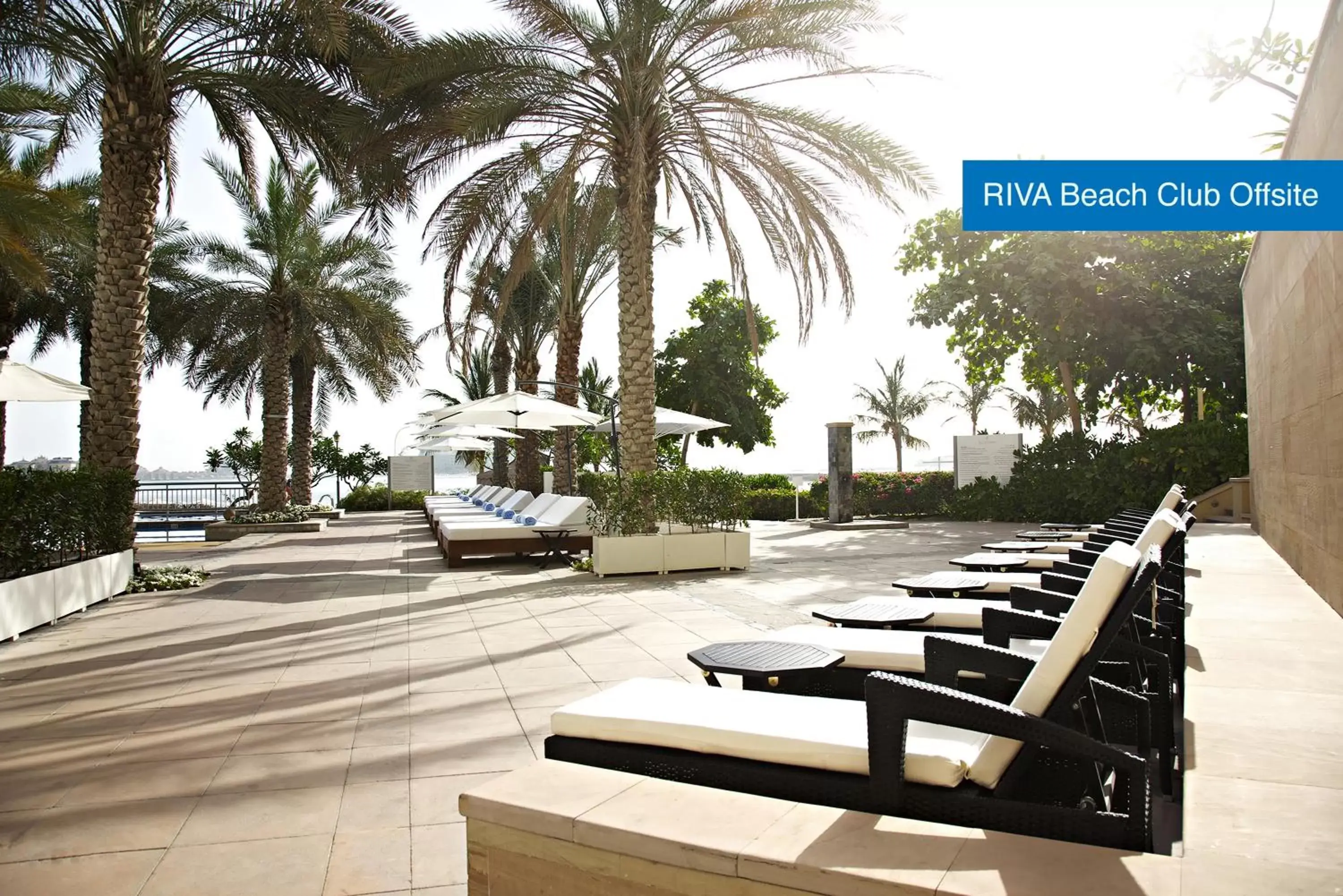 Seating area in Mövenpick Hotel Jumeirah Lakes Towers Dubai