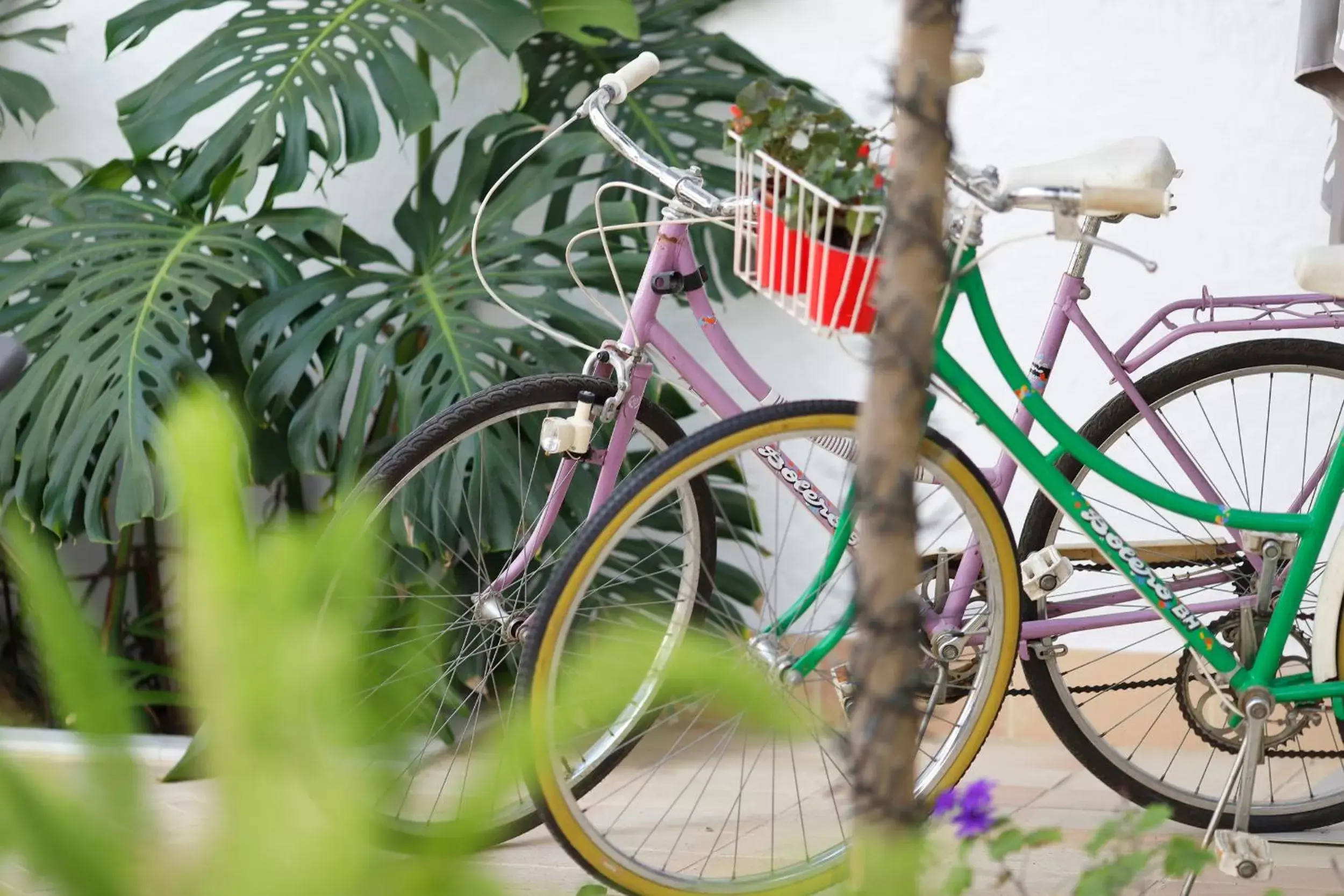 Patio, Biking in Albariza Hotel Boutique