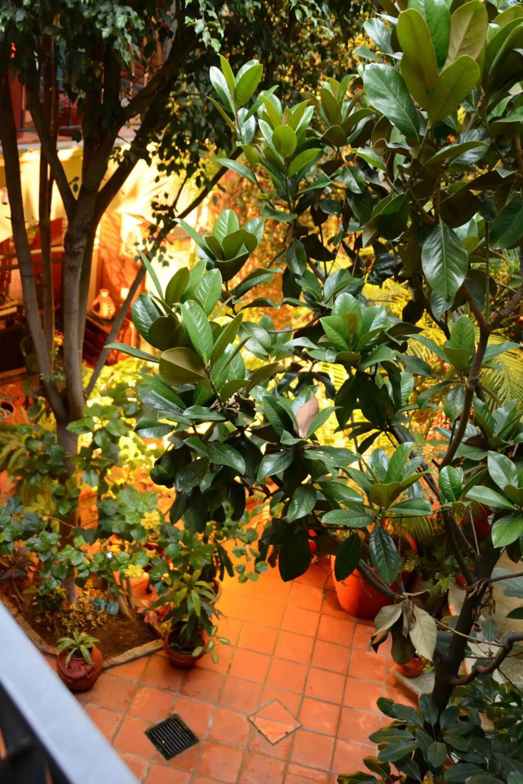 Balcony/Terrace in Hotel Casa Guivá