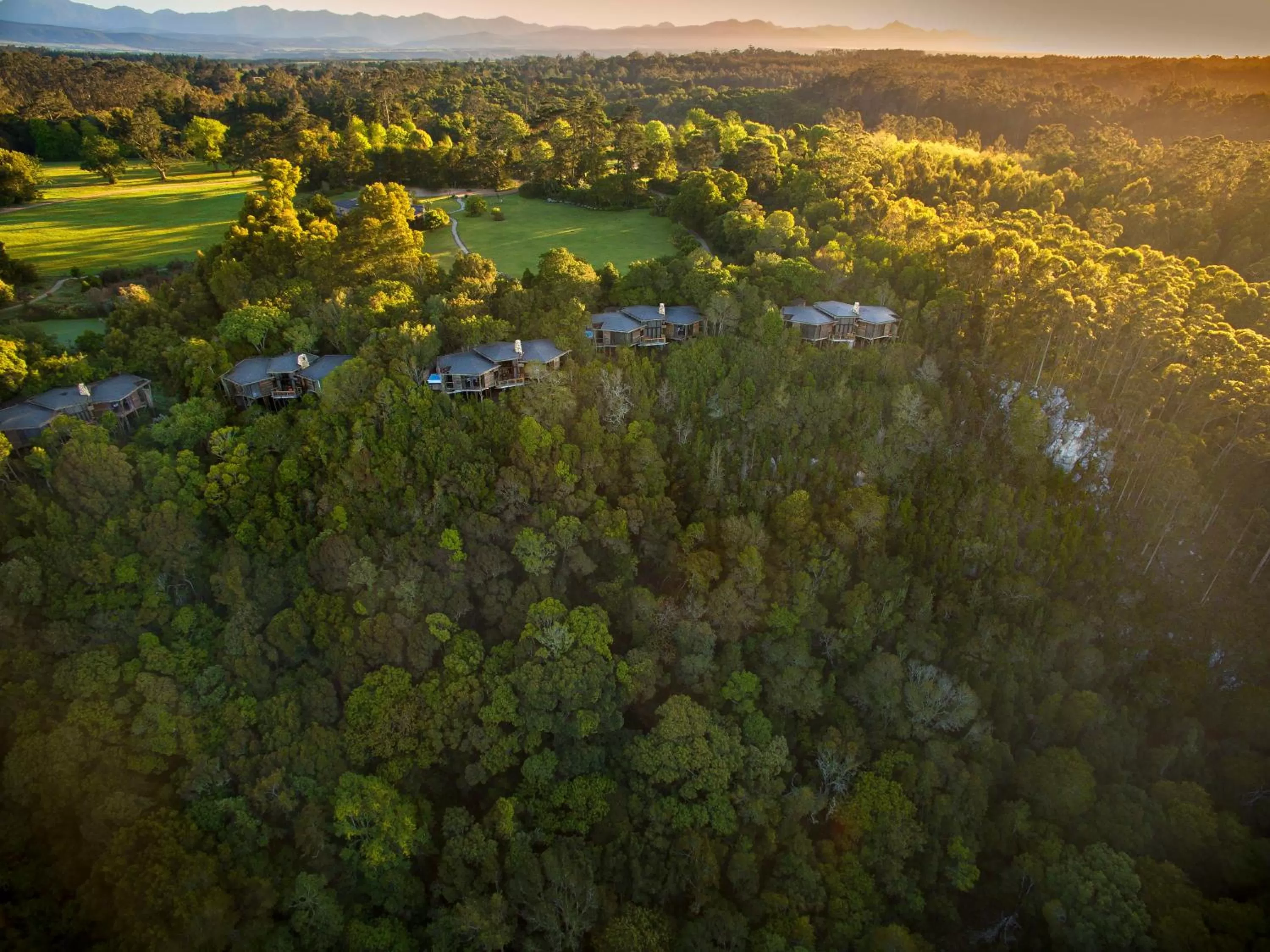 Bird's eye view in Tsala Treetop Lodge