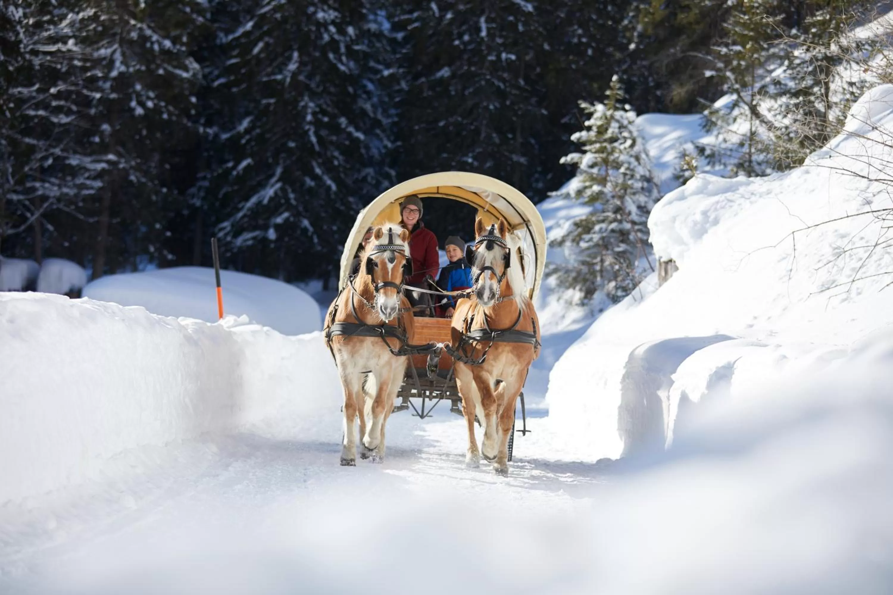 People in Familienparadies Sporthotel Achensee - FAMILIES ONLY