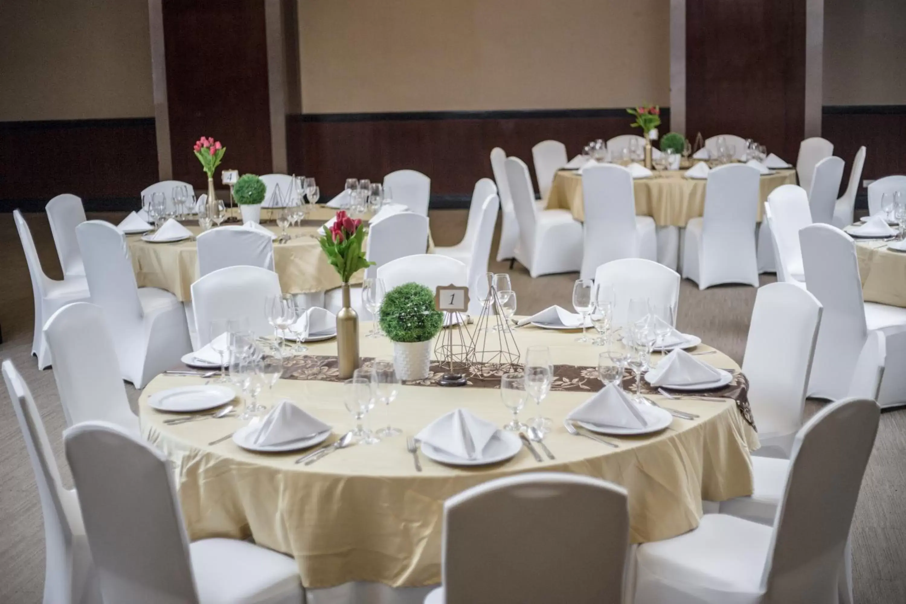 Banquet/Function facilities, Banquet Facilities in The Alpha Suites