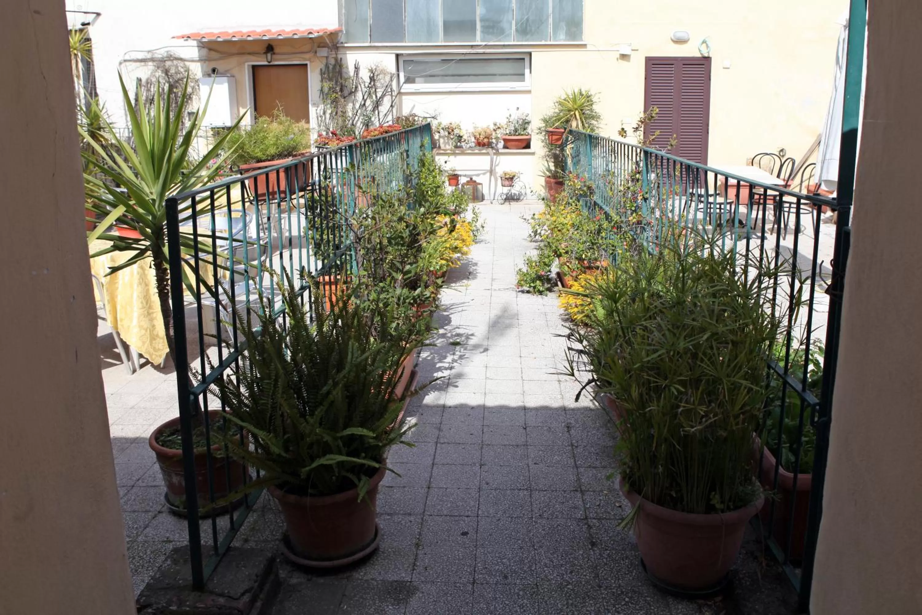 Balcony/Terrace in Hotel Hollywood