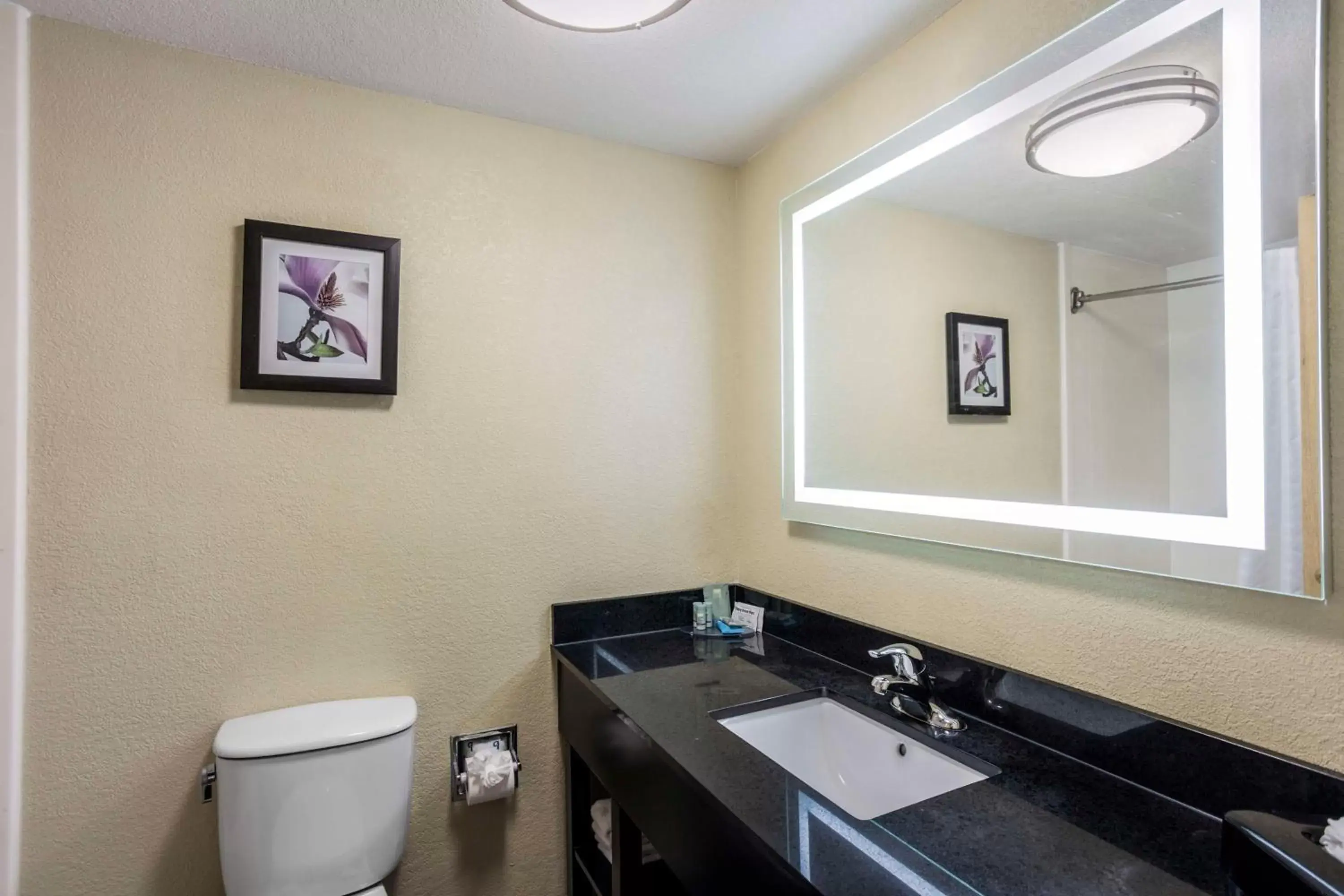 Bathroom in Best Western Harrisburg North Hotel