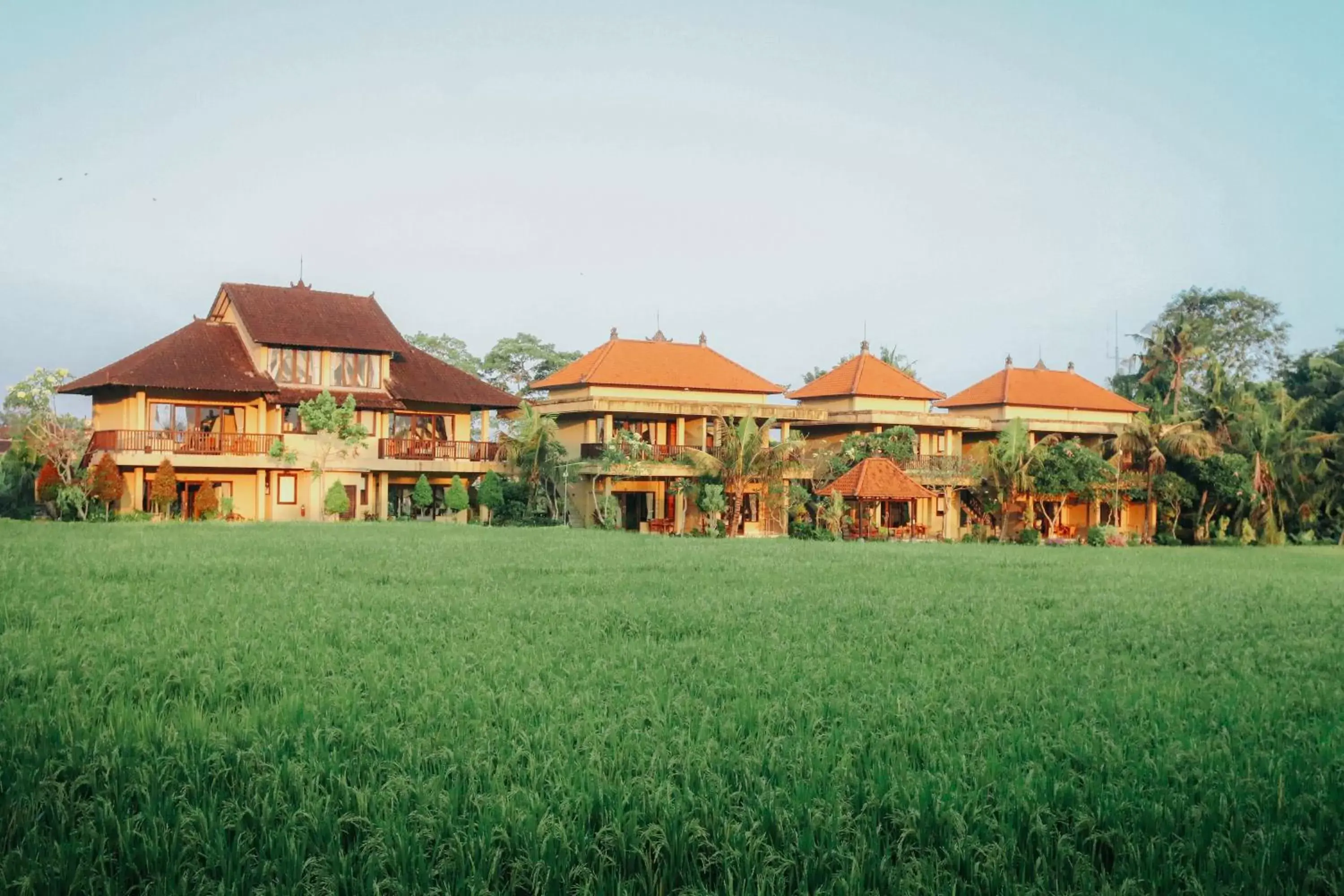 Natural landscape, Property Building in Sri Aksata Ubud Resort by Adyatma Hospitality