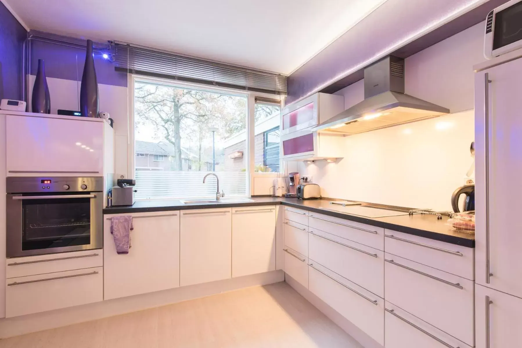 Food and drinks, Kitchen/Kitchenette in Enschede