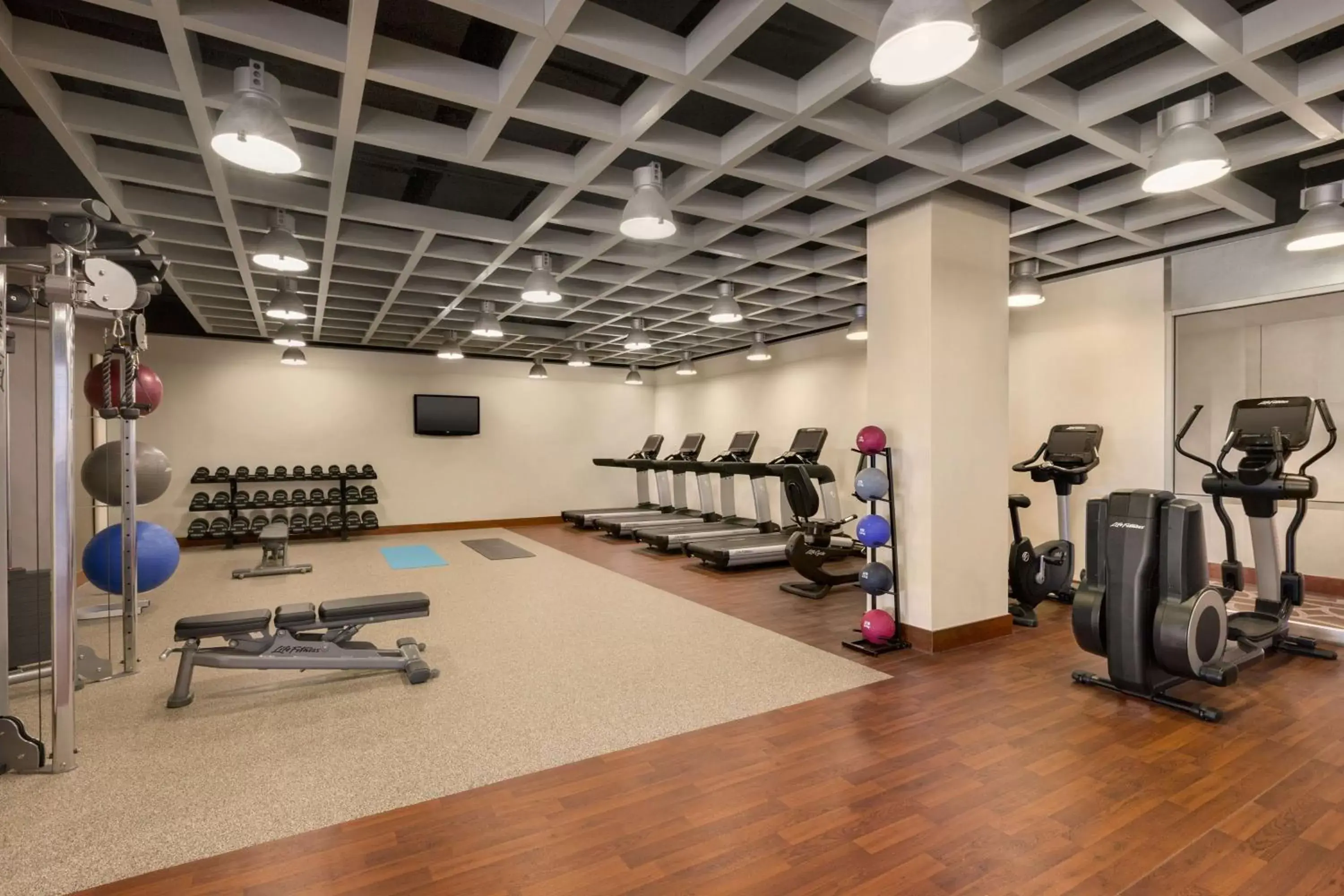 Fitness centre/facilities, Fitness Center/Facilities in Hilton Baltimore BWI Airport