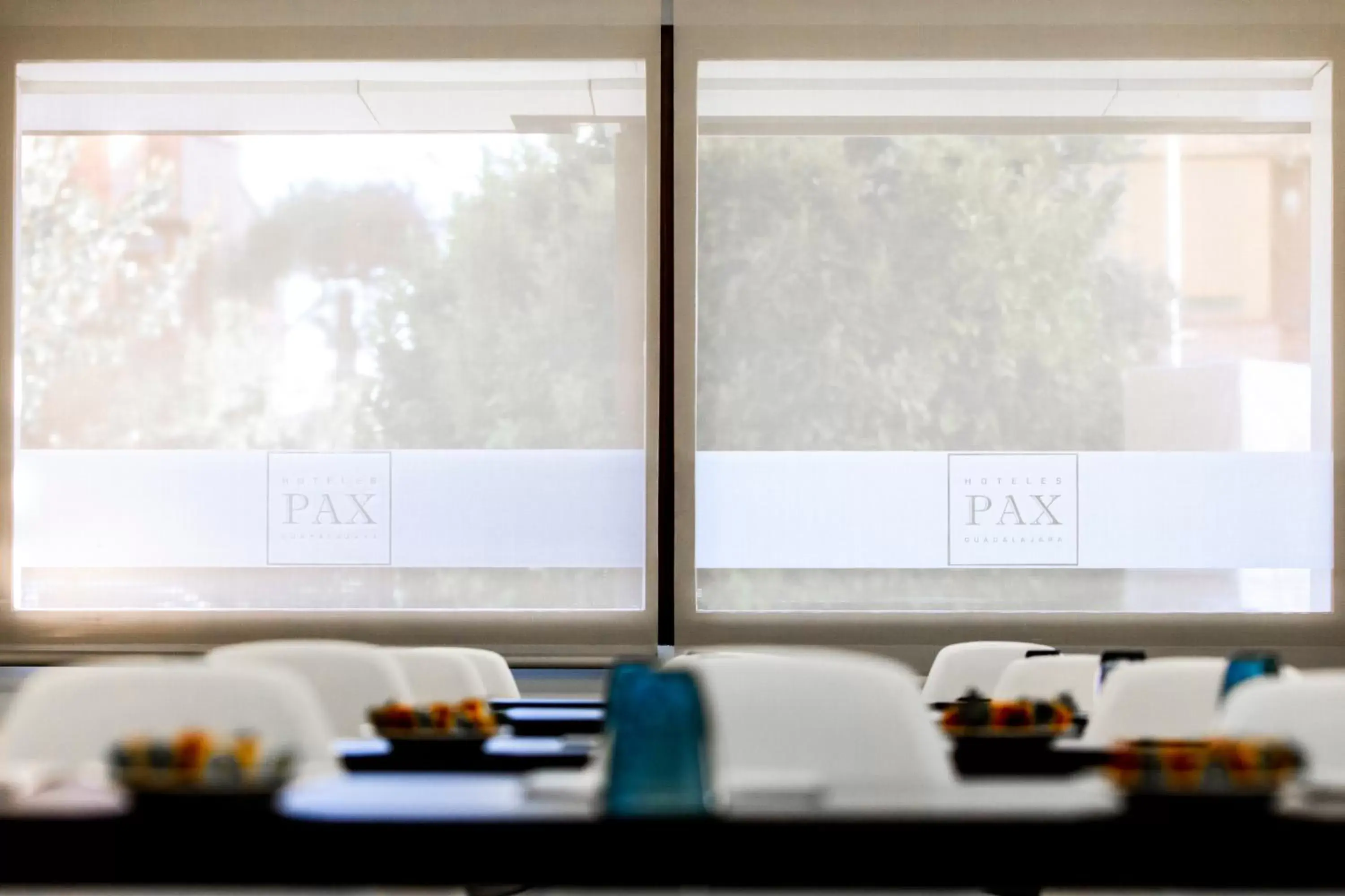 Business facilities in Hotel Pax Guadalajara