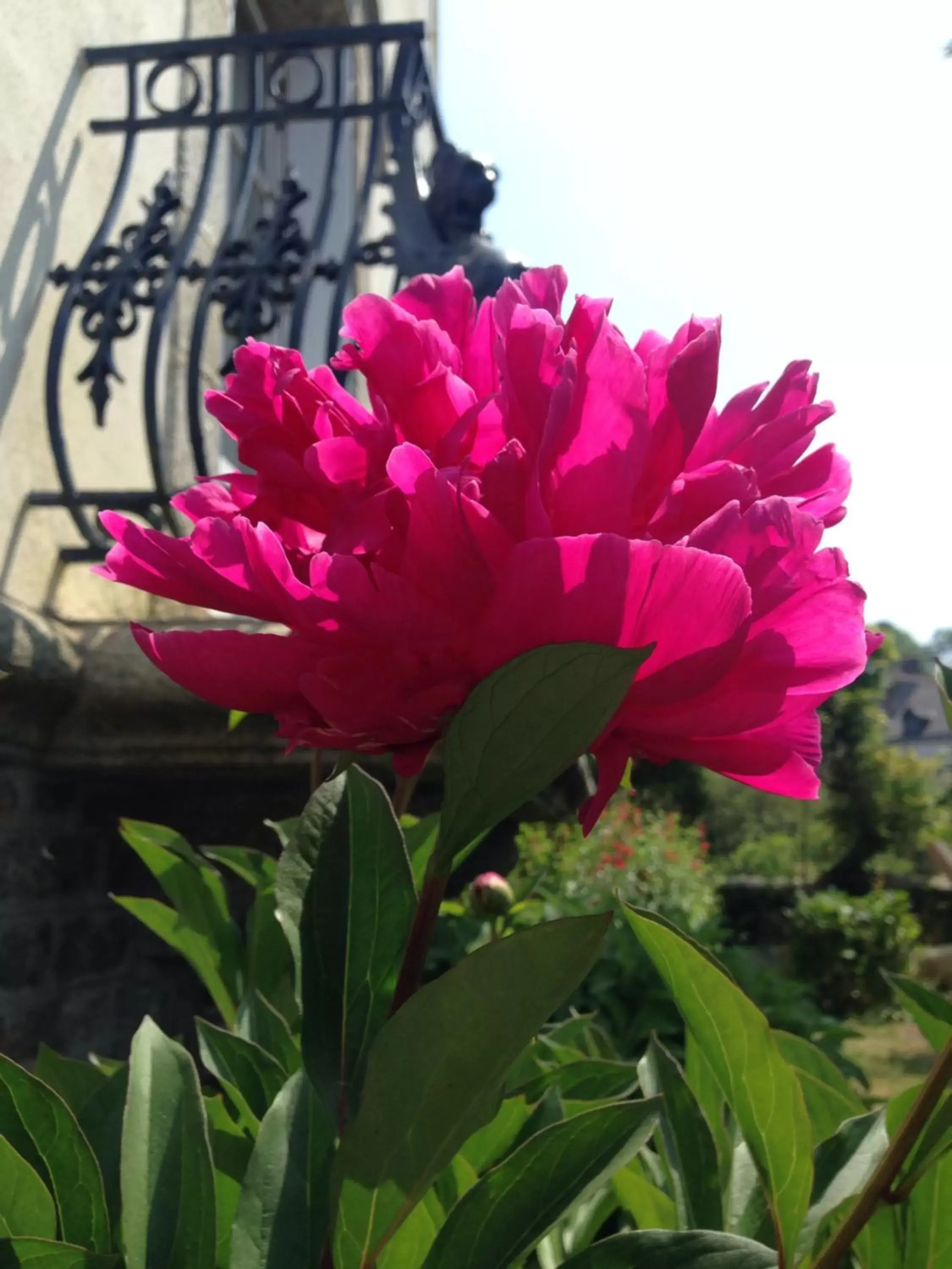 Garden in Maison Castel Braz