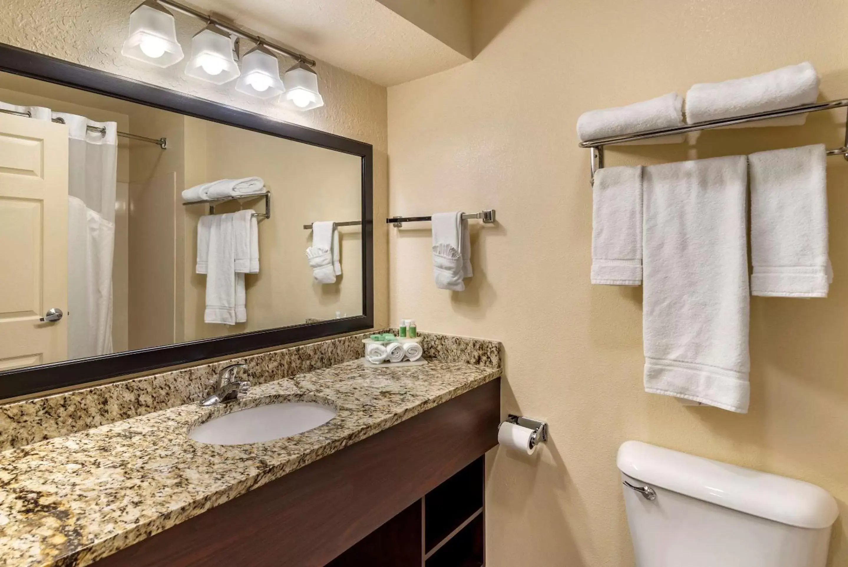 Bathroom in Comfort Inn & Suites Dahlonega University Area