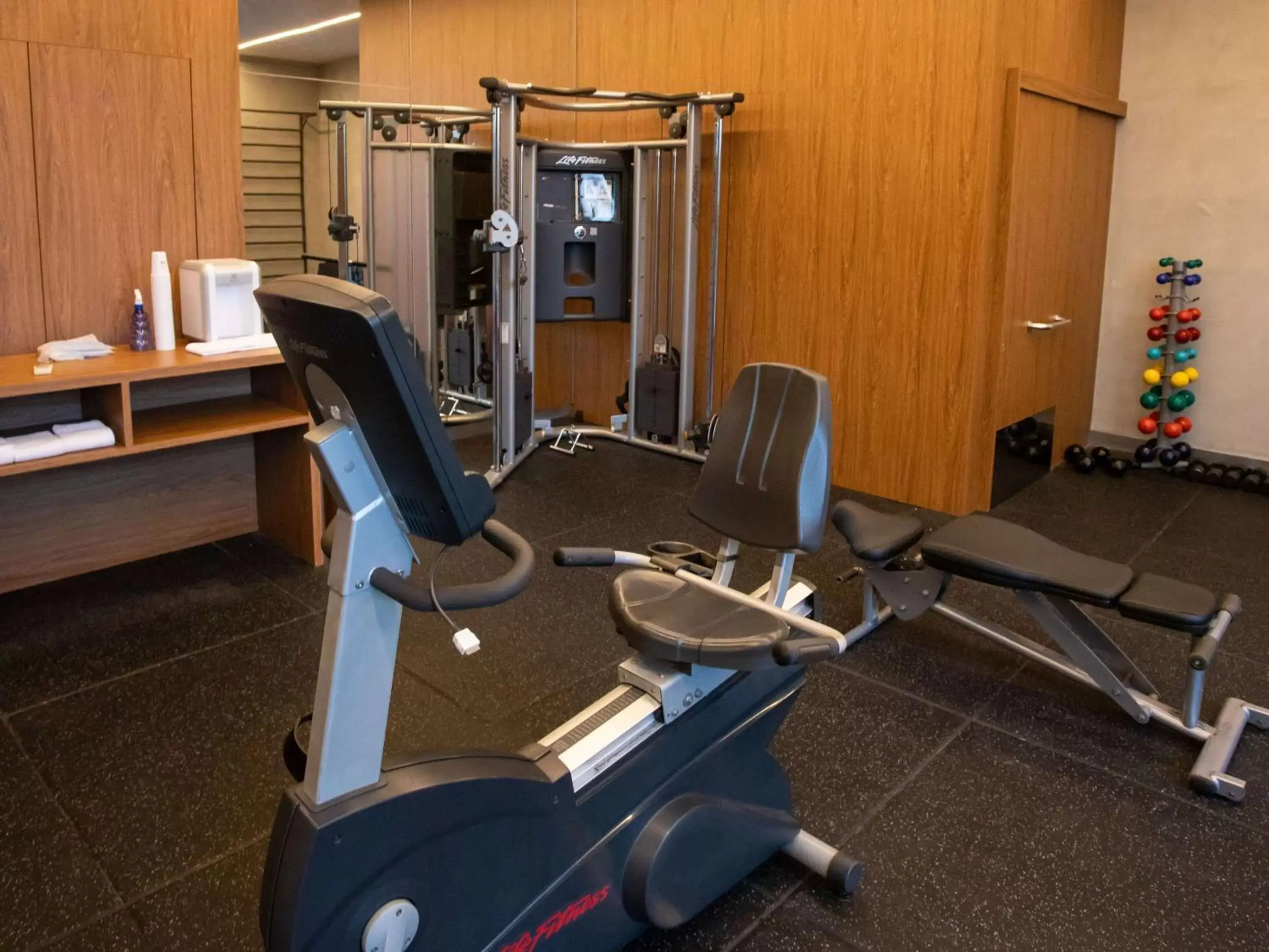 Fitness centre/facilities, Fitness Center/Facilities in Novotel Sao Paulo Morumbi