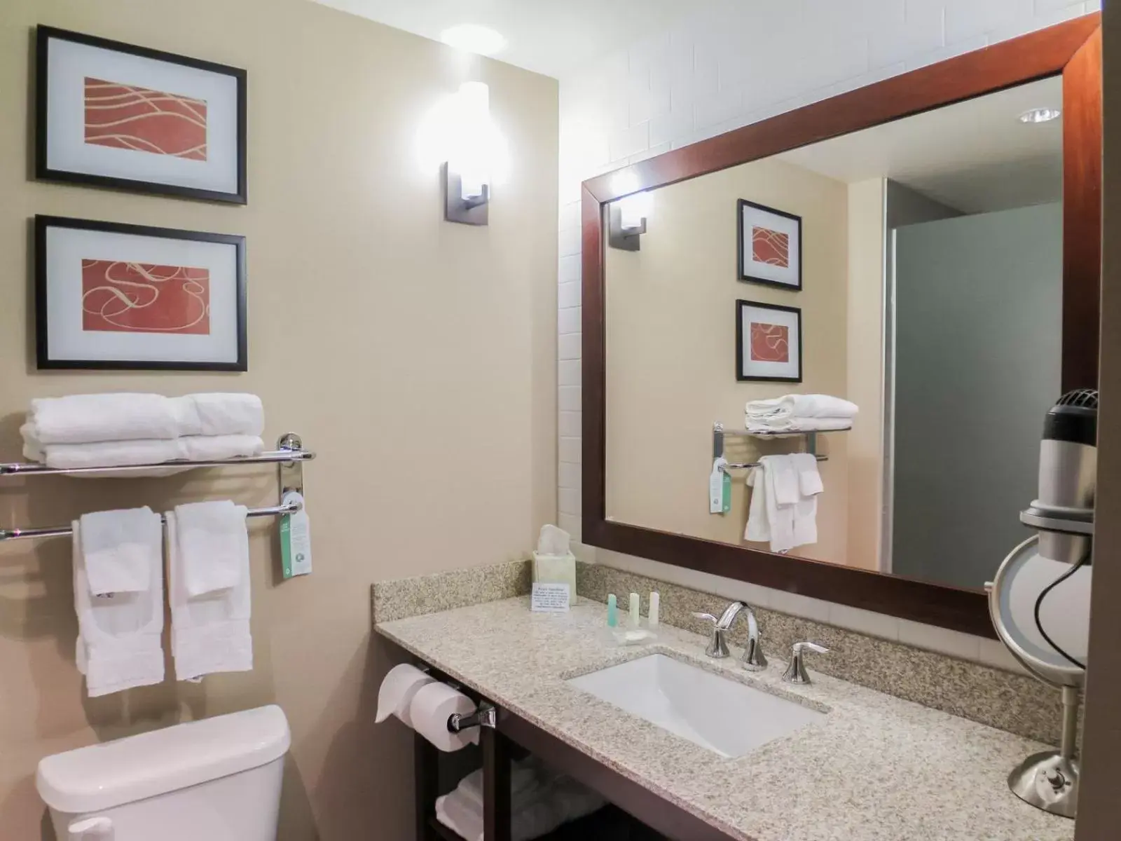 Bathroom in Comfort Suites Marietta-Parkersburg