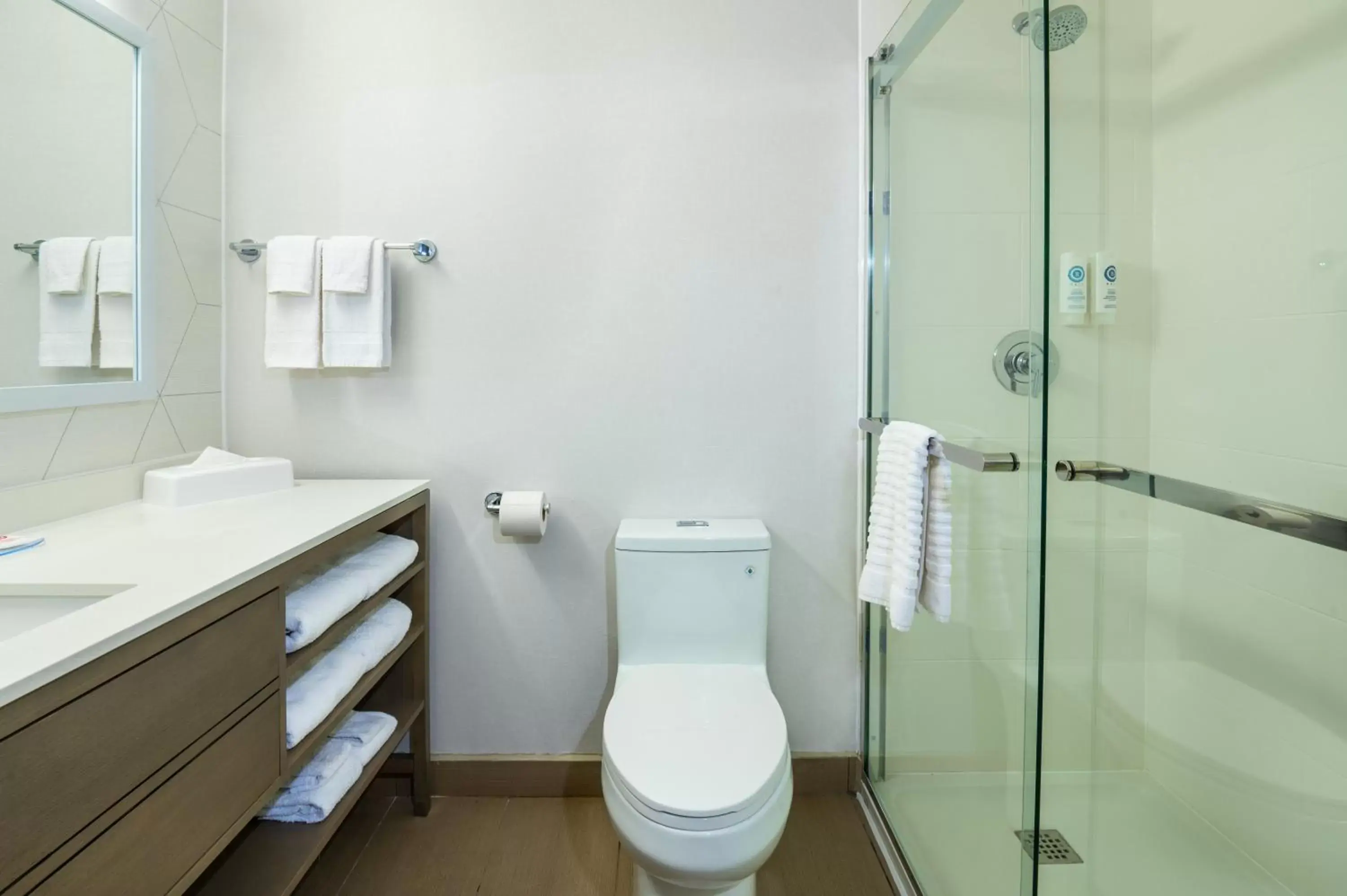 Bathroom in Comfort Inn & Suites Barrie