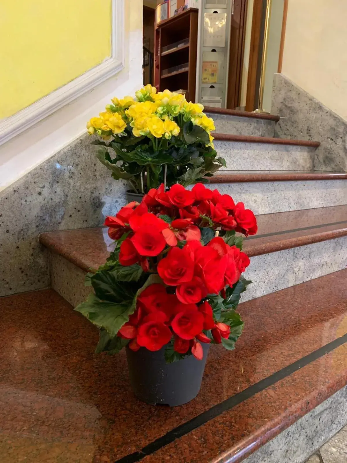 Lobby or reception in Hotel Stromboli Lobby or reception in Hotel Stromboli