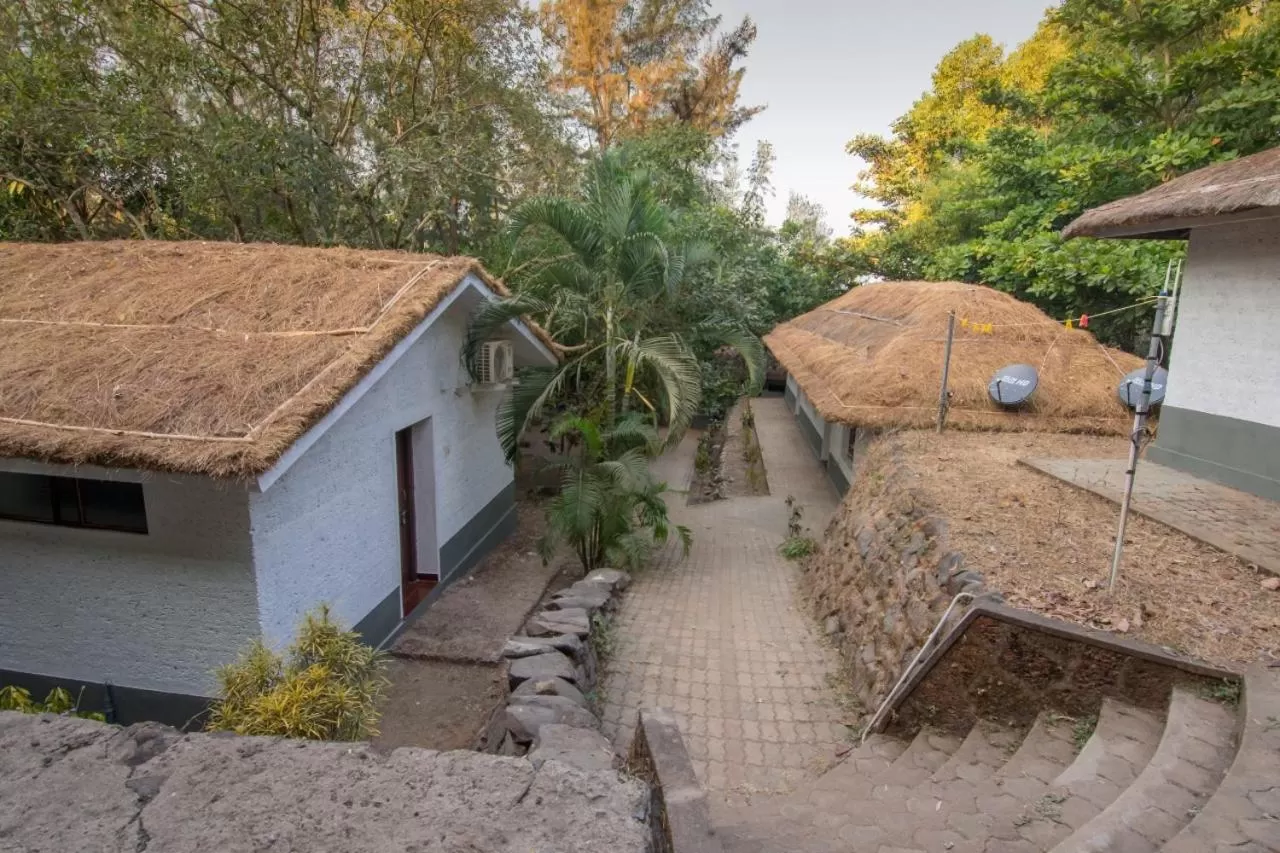 View (from property/room) in Red Earth - Gokarna