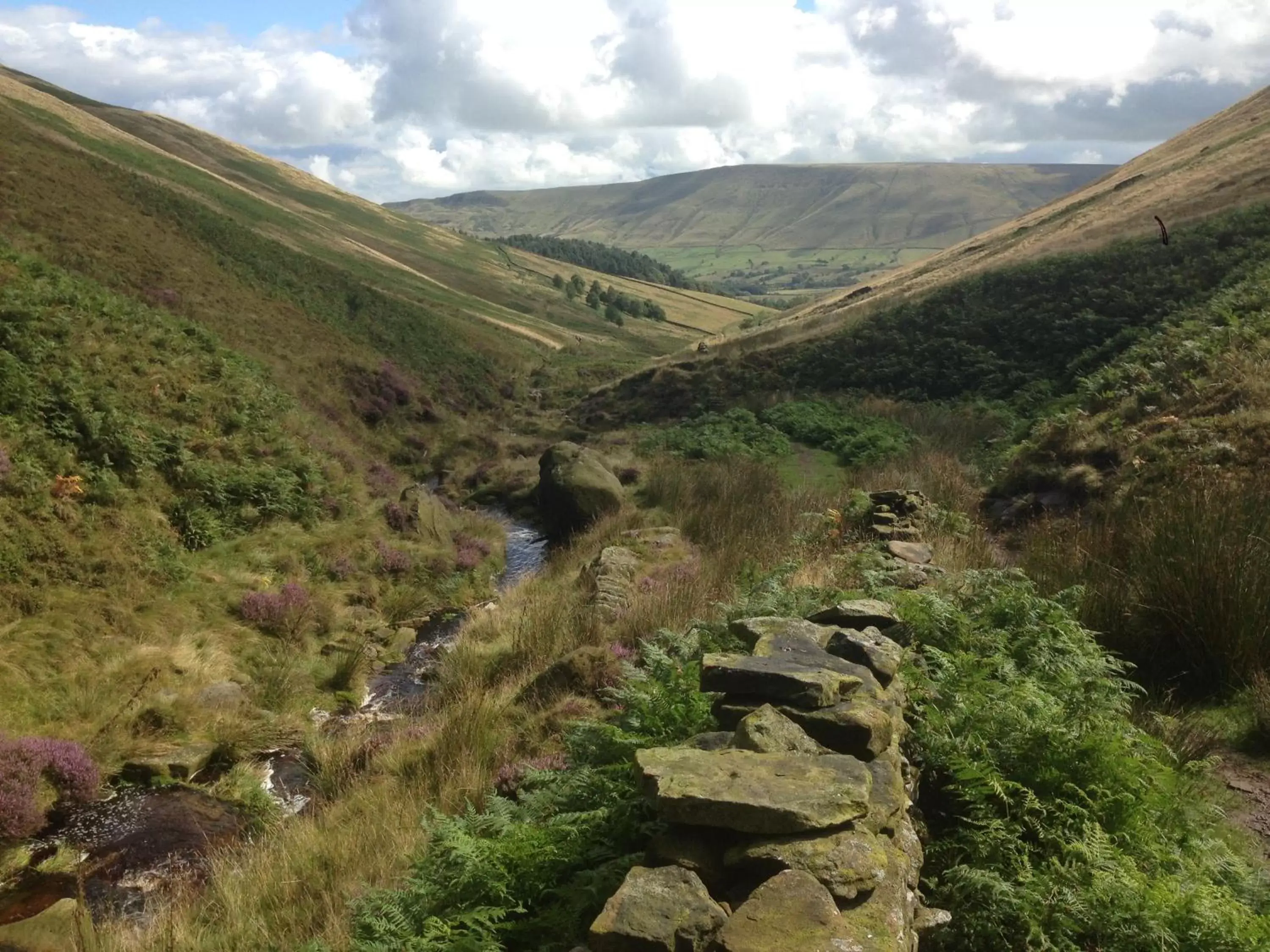 Natural landscape in The Old Station House