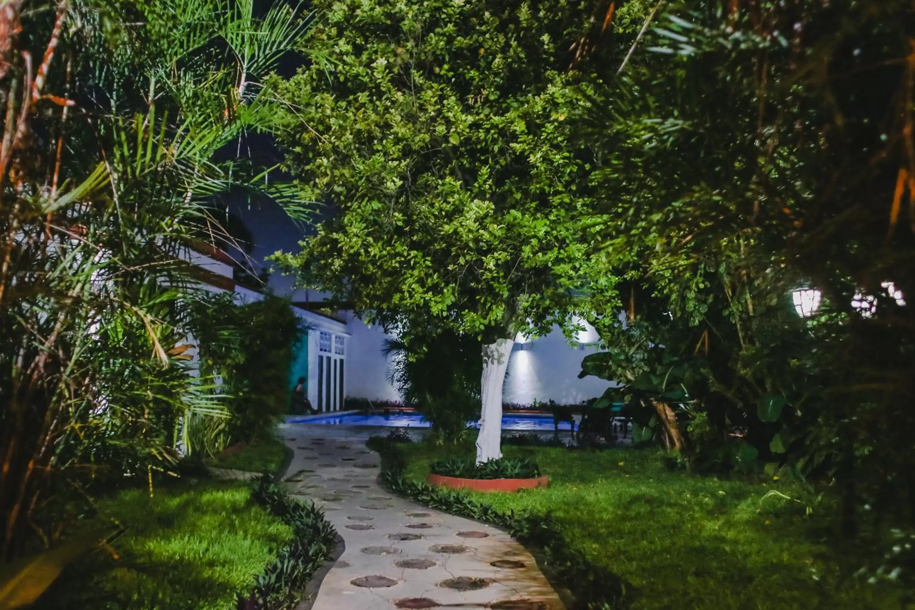 Garden in Hotel Colon Merida