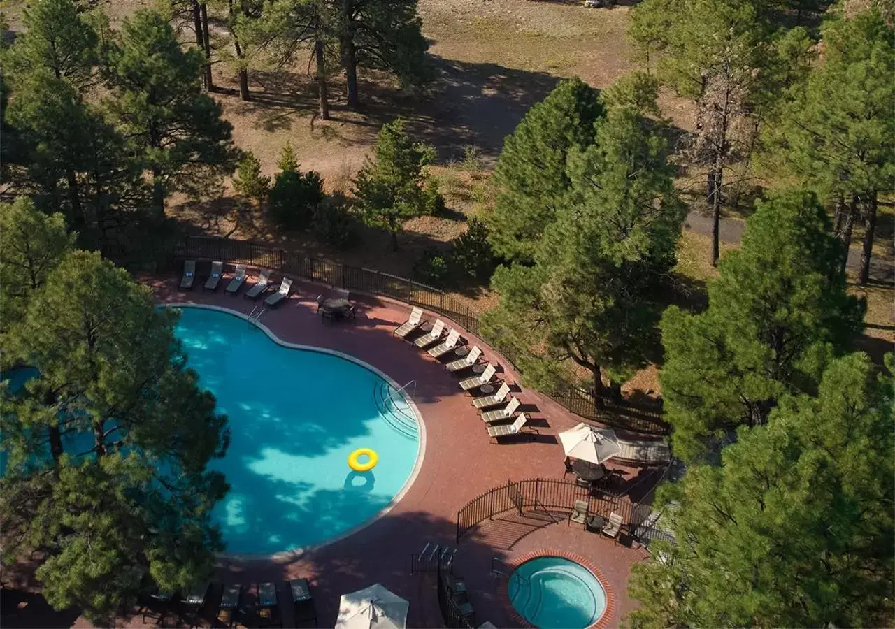 Swimming pool, Pool View in Little America Hotel Flagstaff