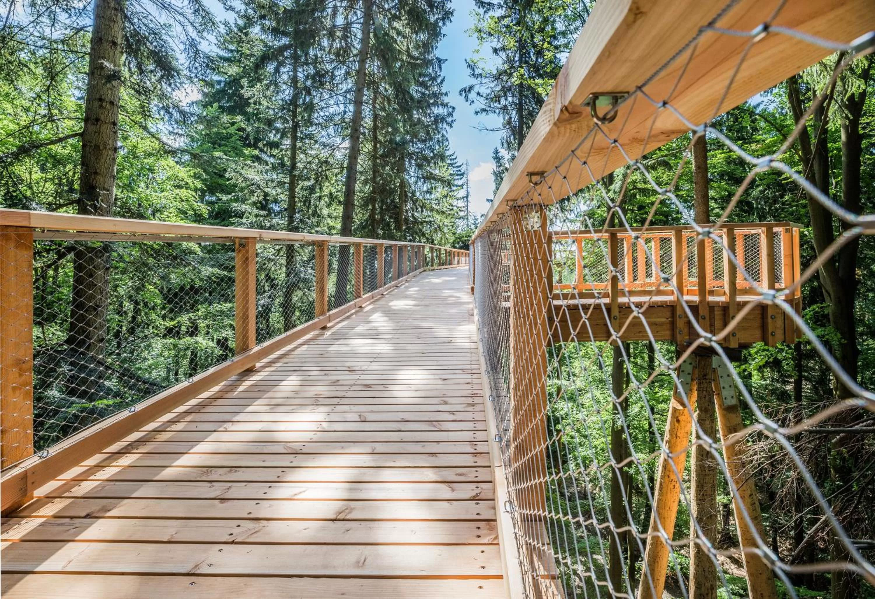 Nearby landmark in Ski Hotel Svoboda nad Úpou