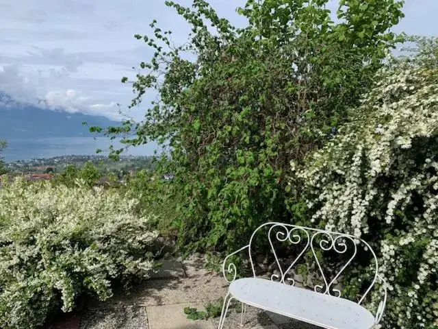 Swimming pool in Magie Du Léman