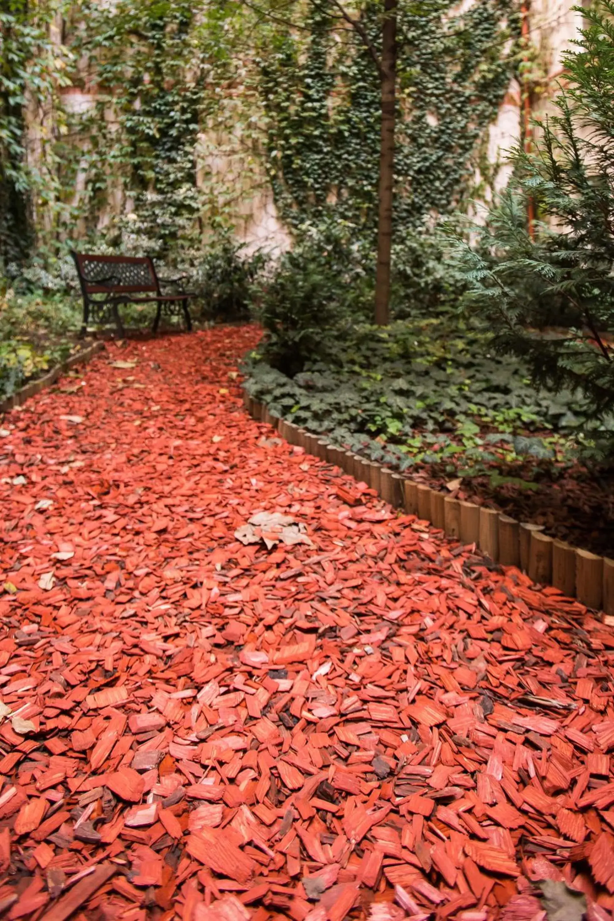 Garden in City Home Budapest