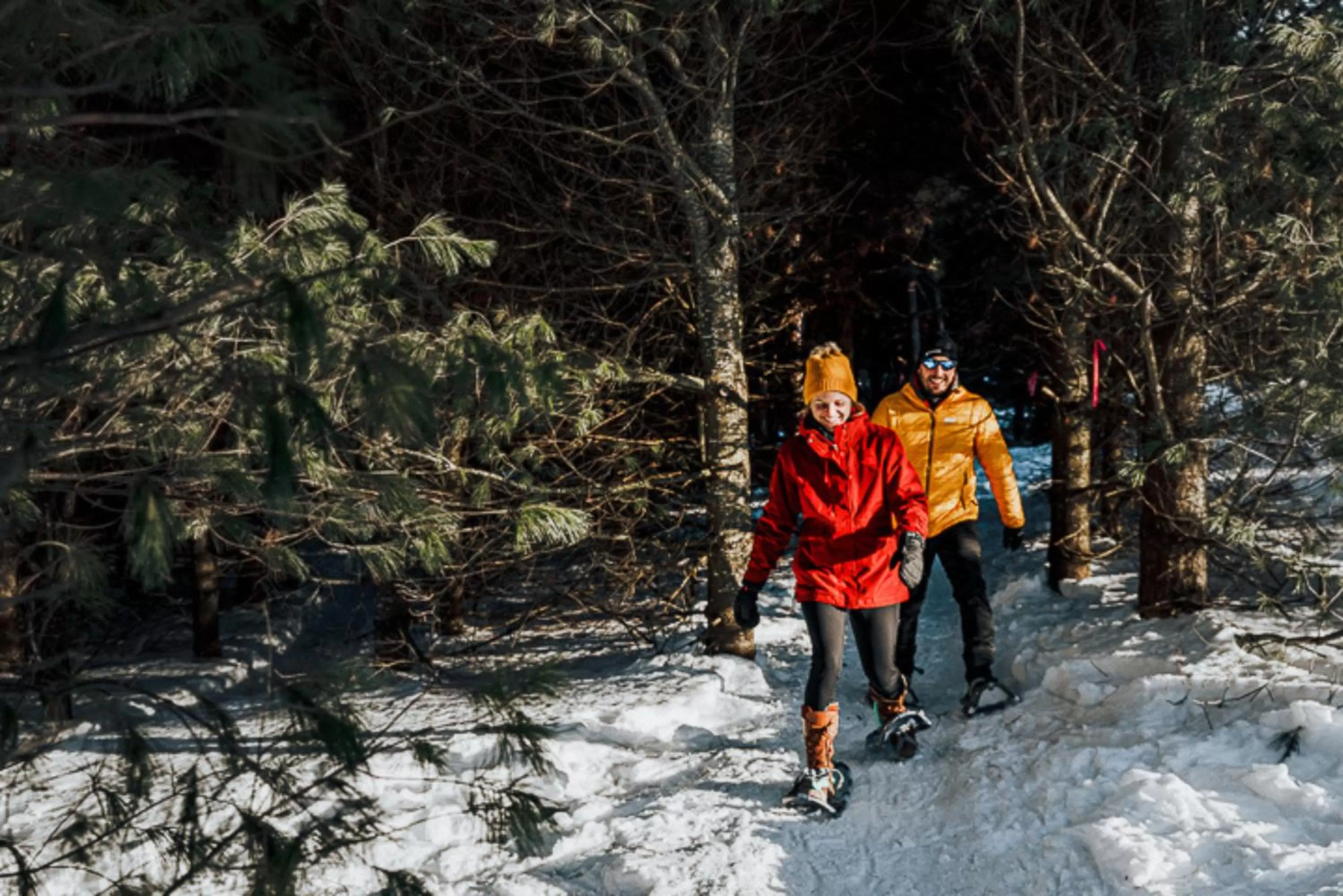 Activities in Auberge de la Montagne Coupée