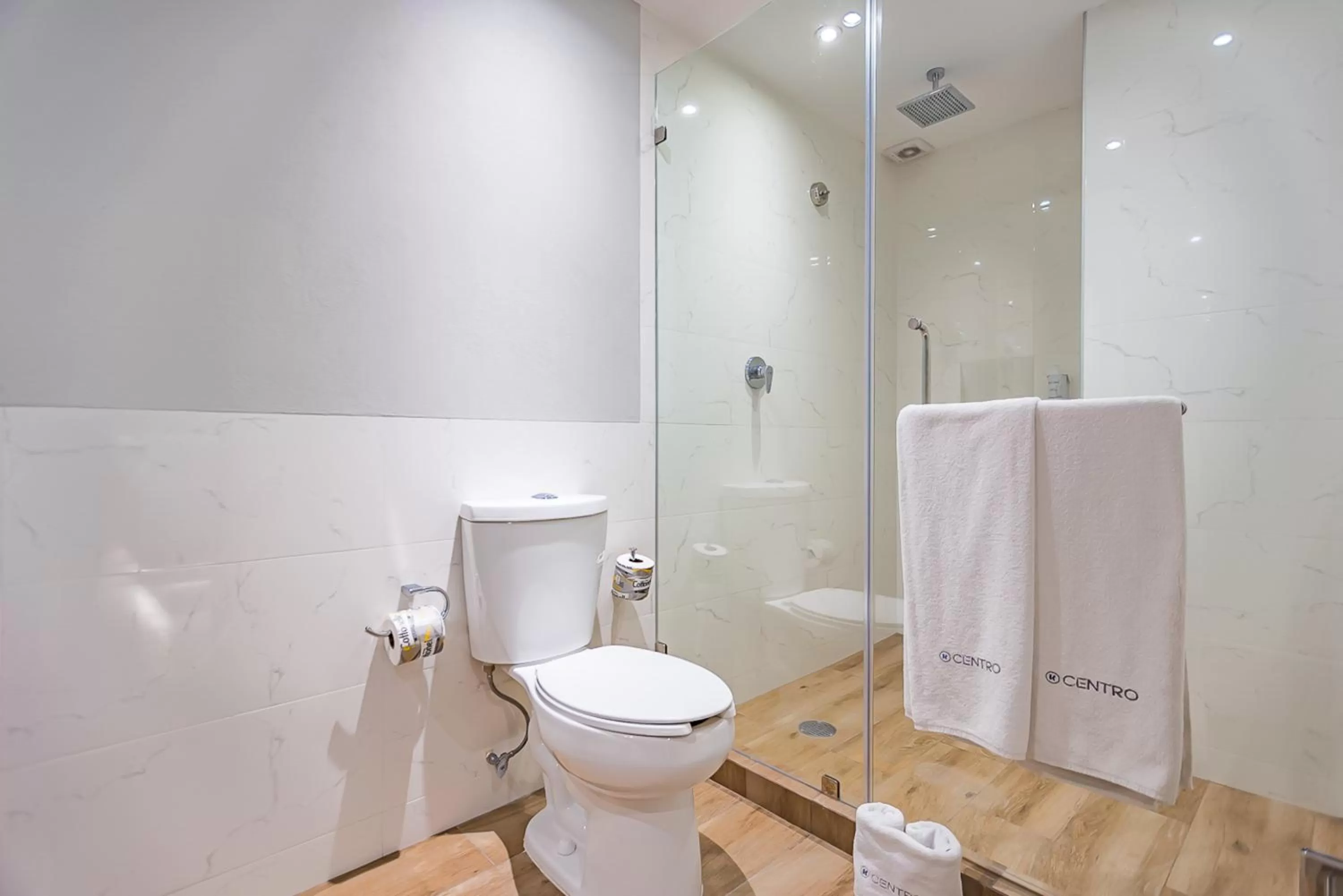 Shower in KALI Centro Mexico City