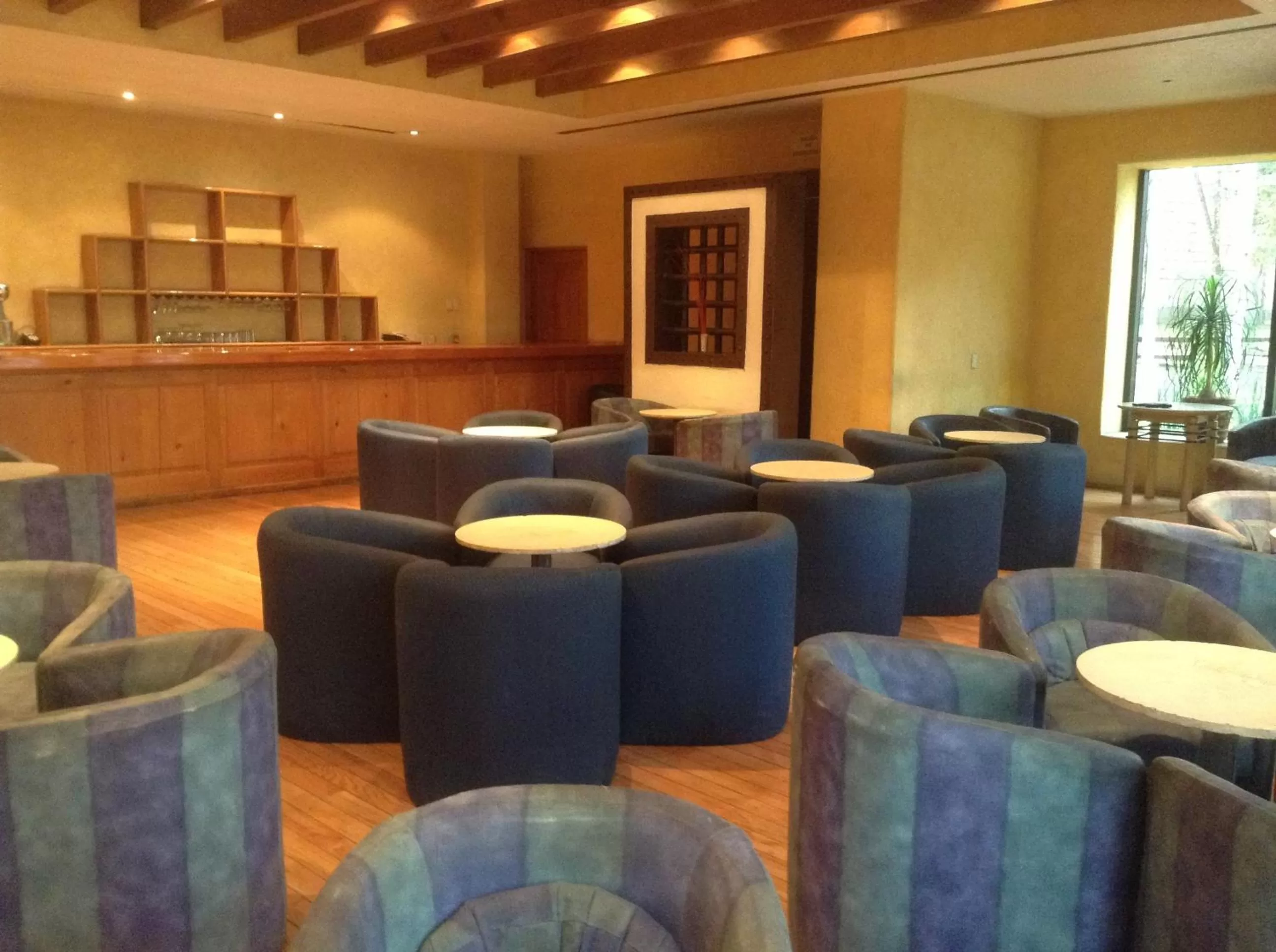 Lounge or bar in Hotel Sevilla